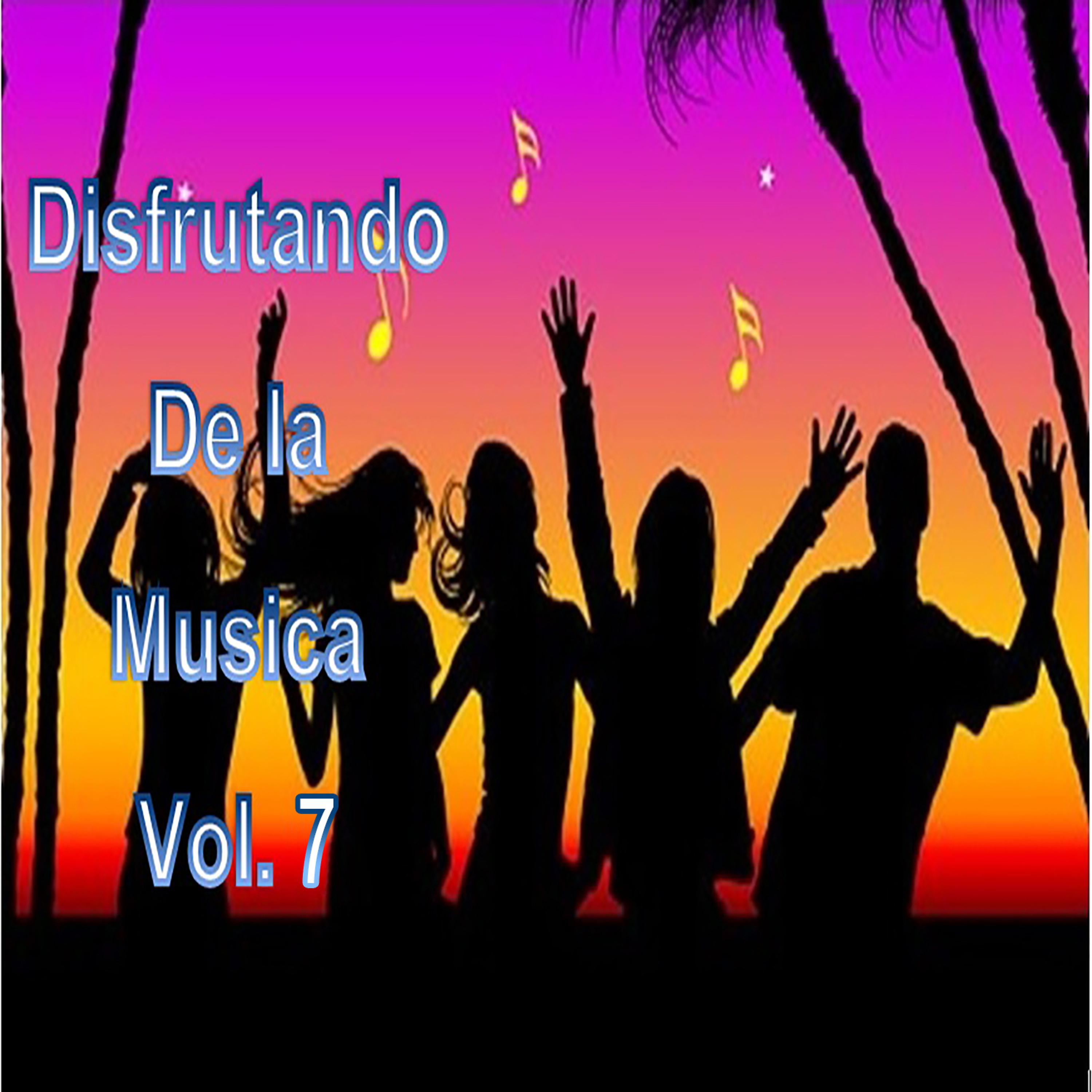 Постер альбома Disfrutando de la Musica, Vol. 7