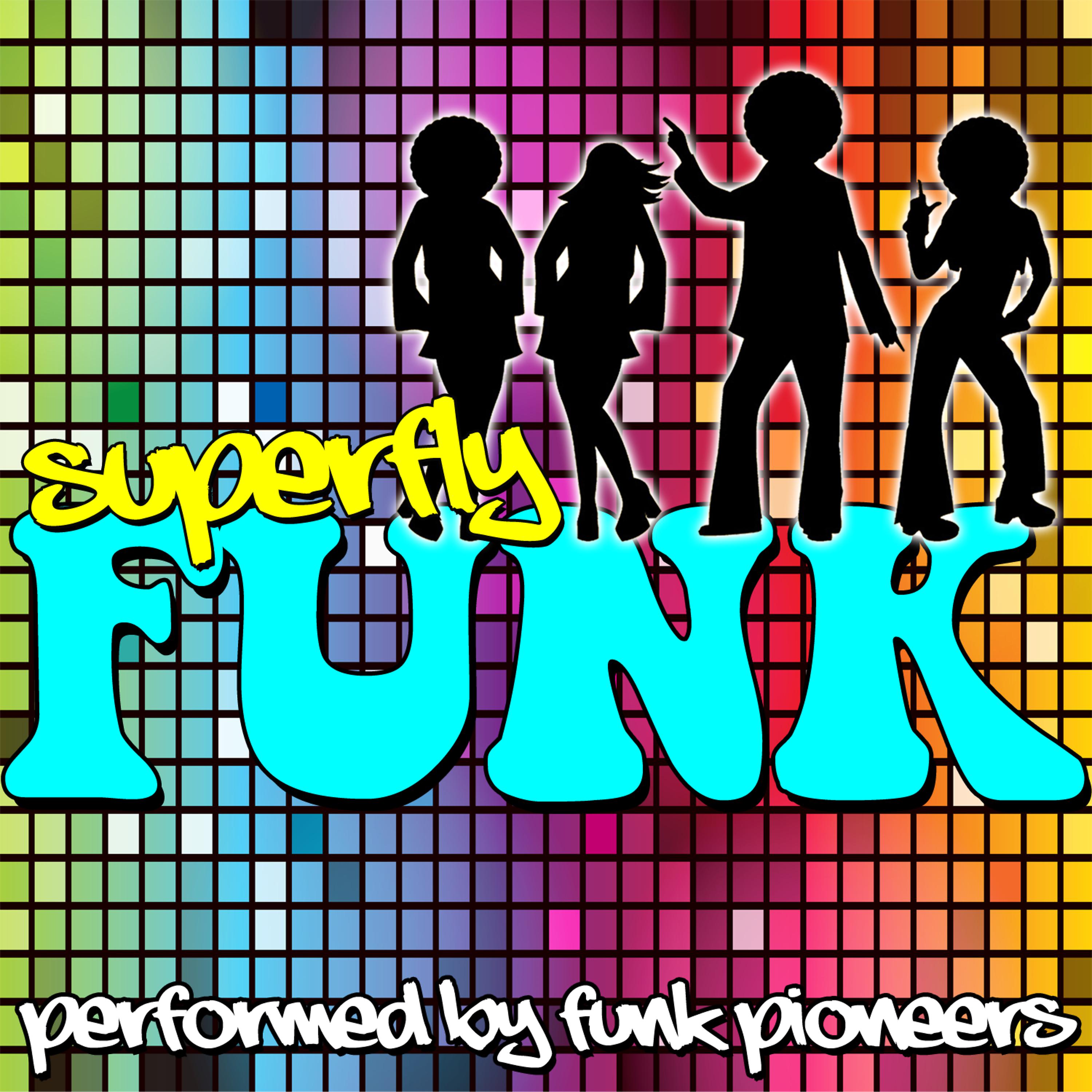 Постер альбома Superfly Funk