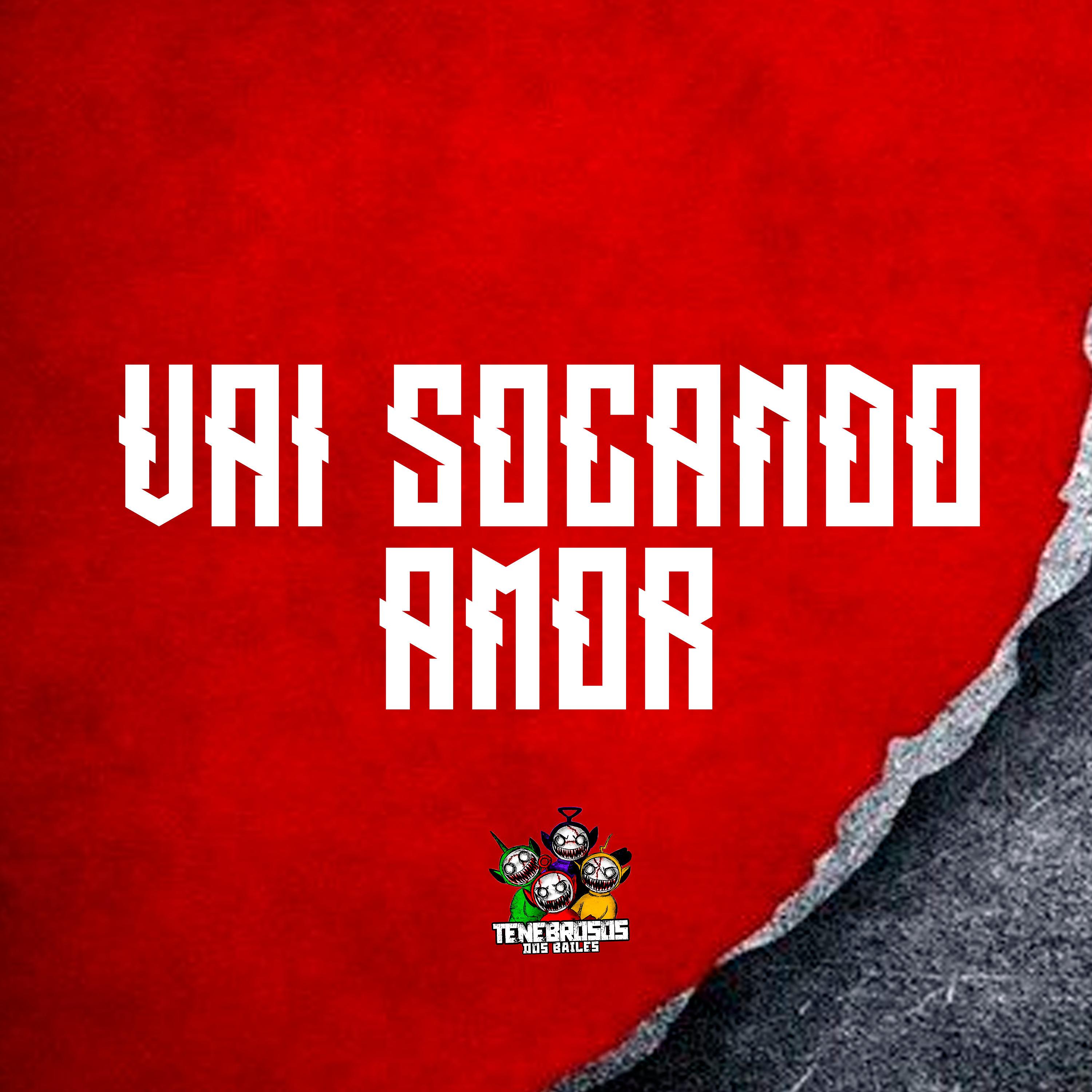 Постер альбома Vai Socando Amor