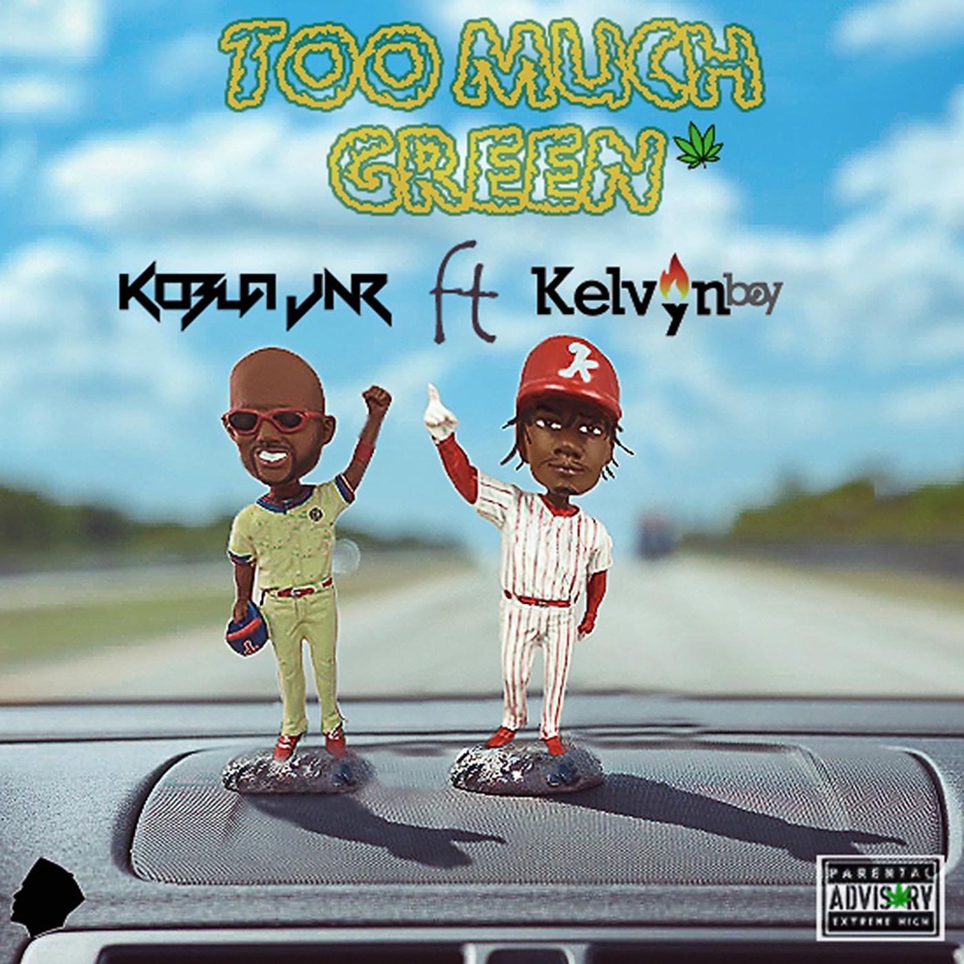 Постер альбома Too Much Green (feat. Kelvyn Boy)