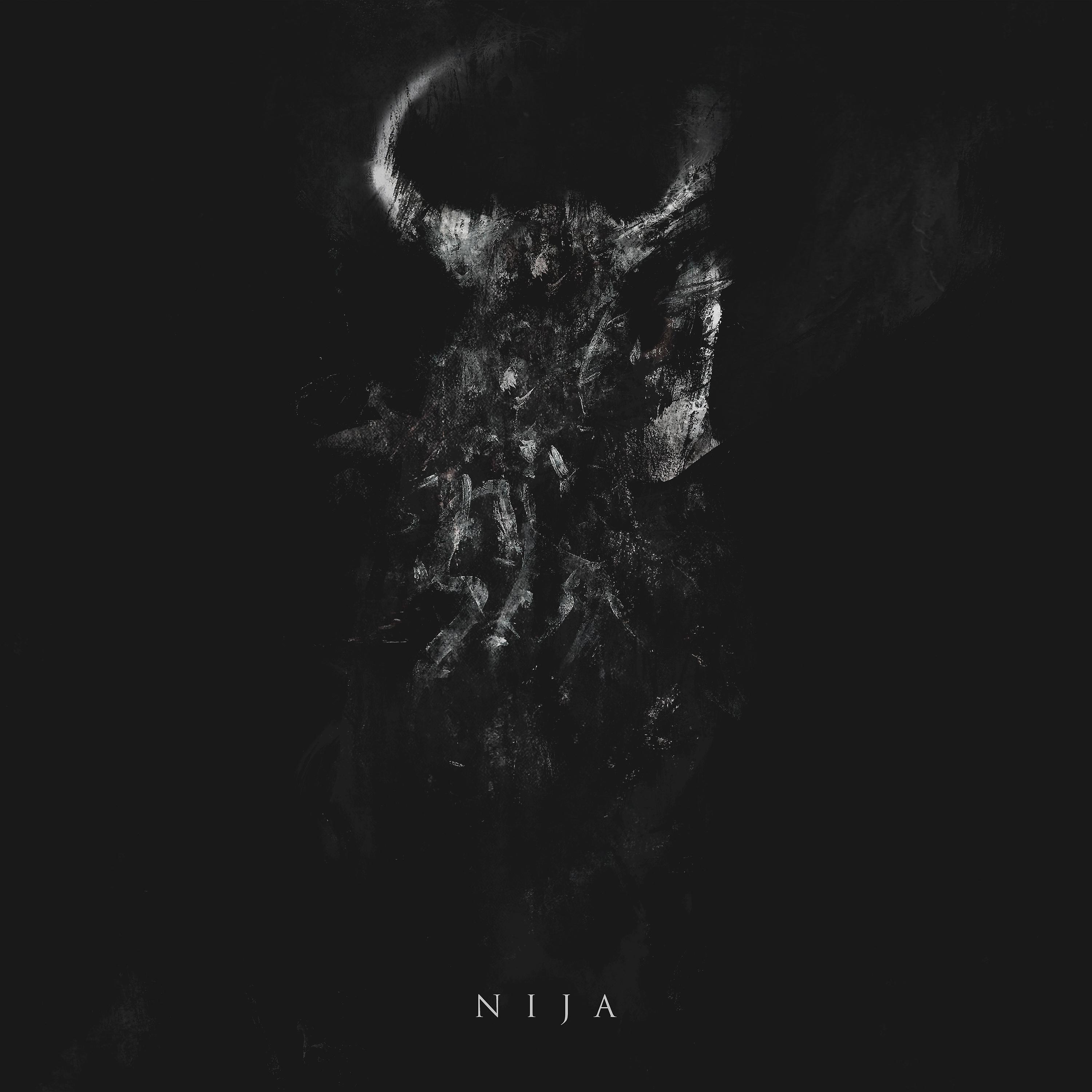 Постер альбома Nija (Deluxe Edition)