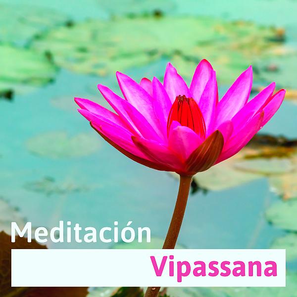 Постер альбома Meditación Vipassana - Ambiente de Yoga y Relajación, Retiros de Meditación