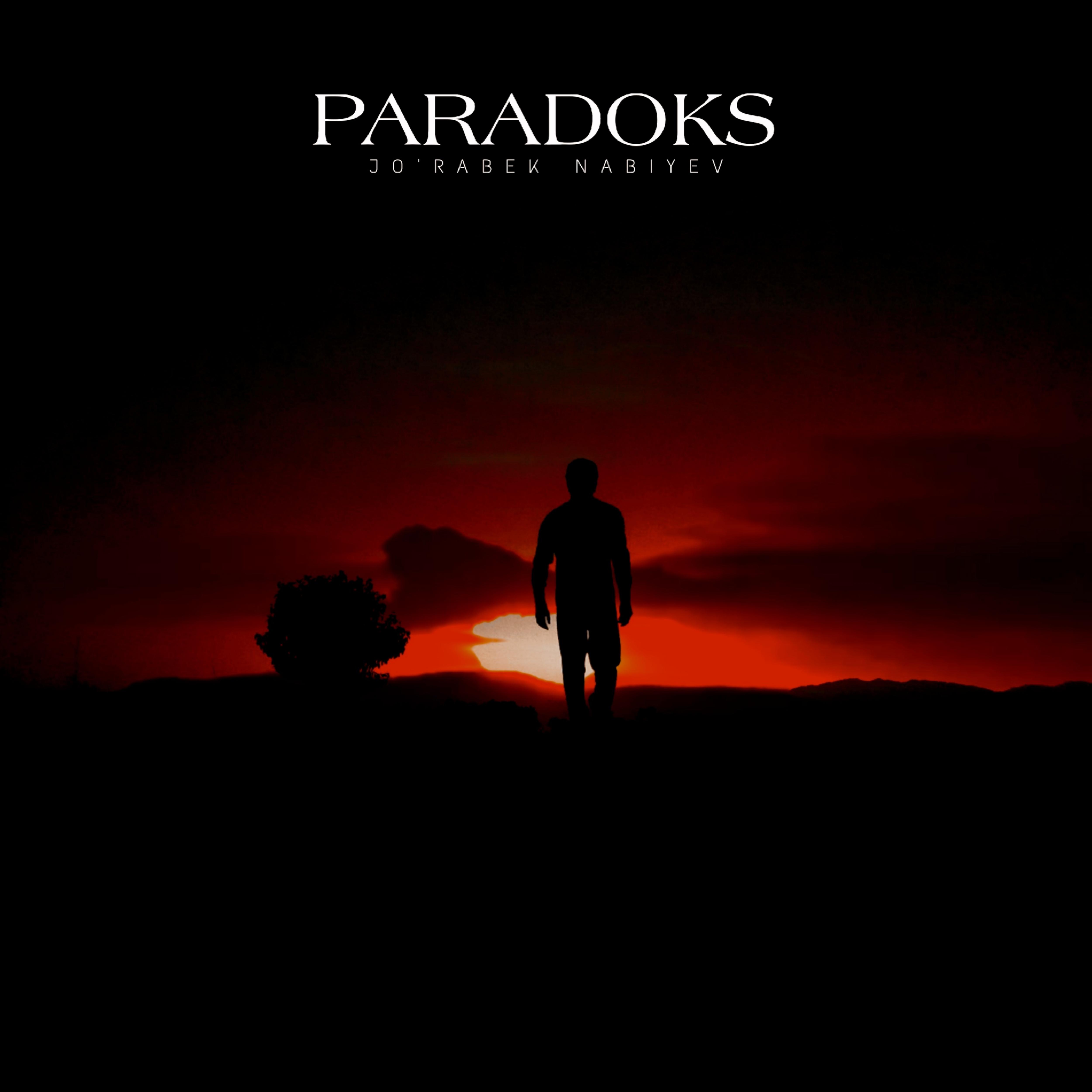Постер альбома Paradoks
