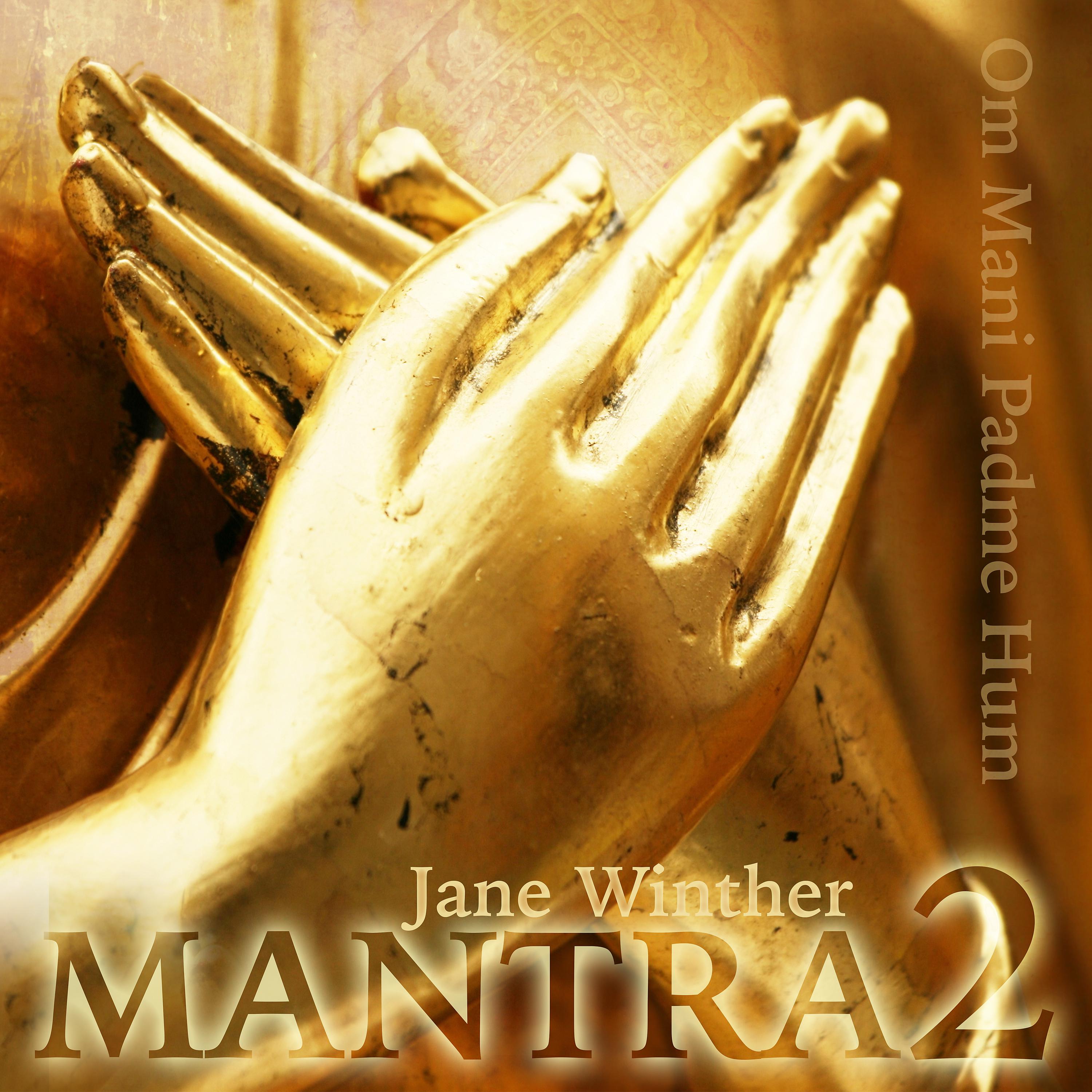 Постер альбома Mantra 2