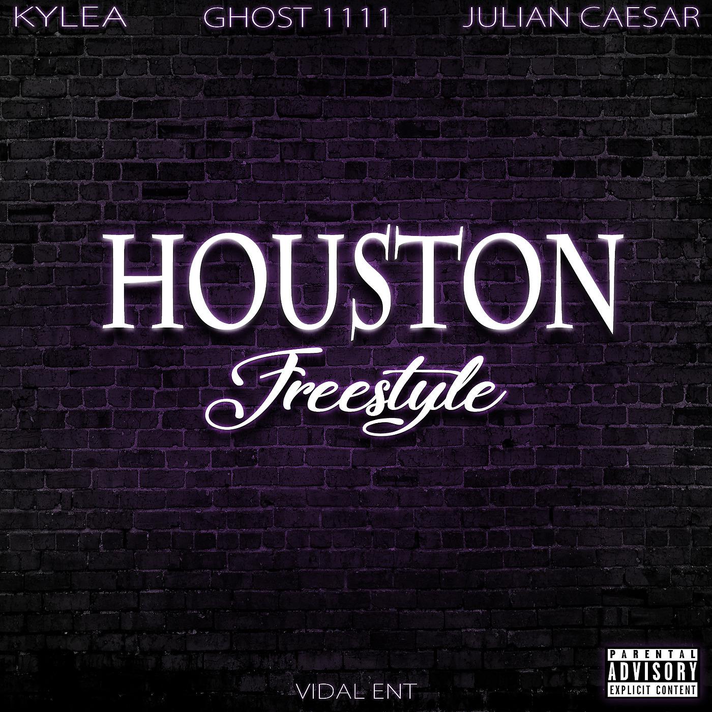 Постер альбома Houston (Freestyle)