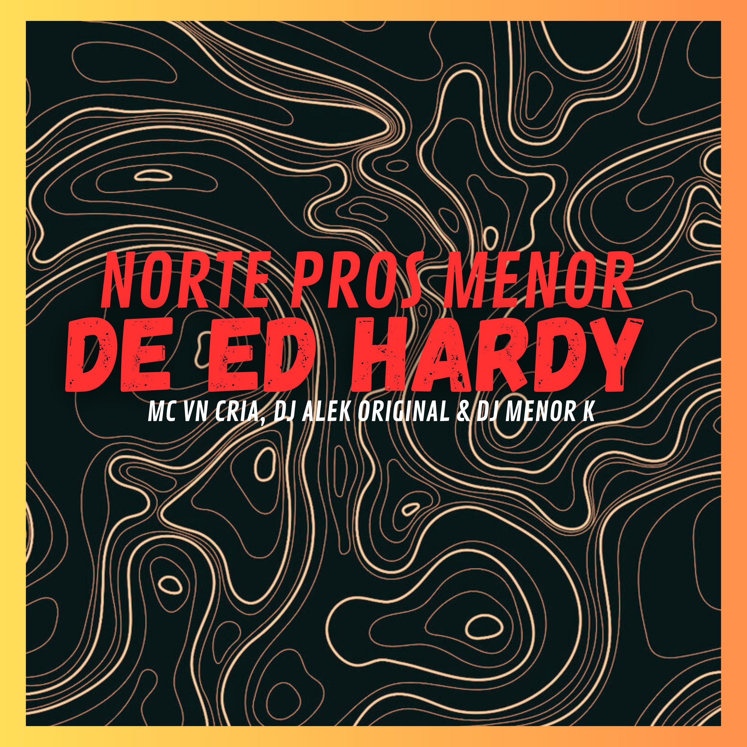 Постер альбома Norte Pros Menor de Ed Hardy