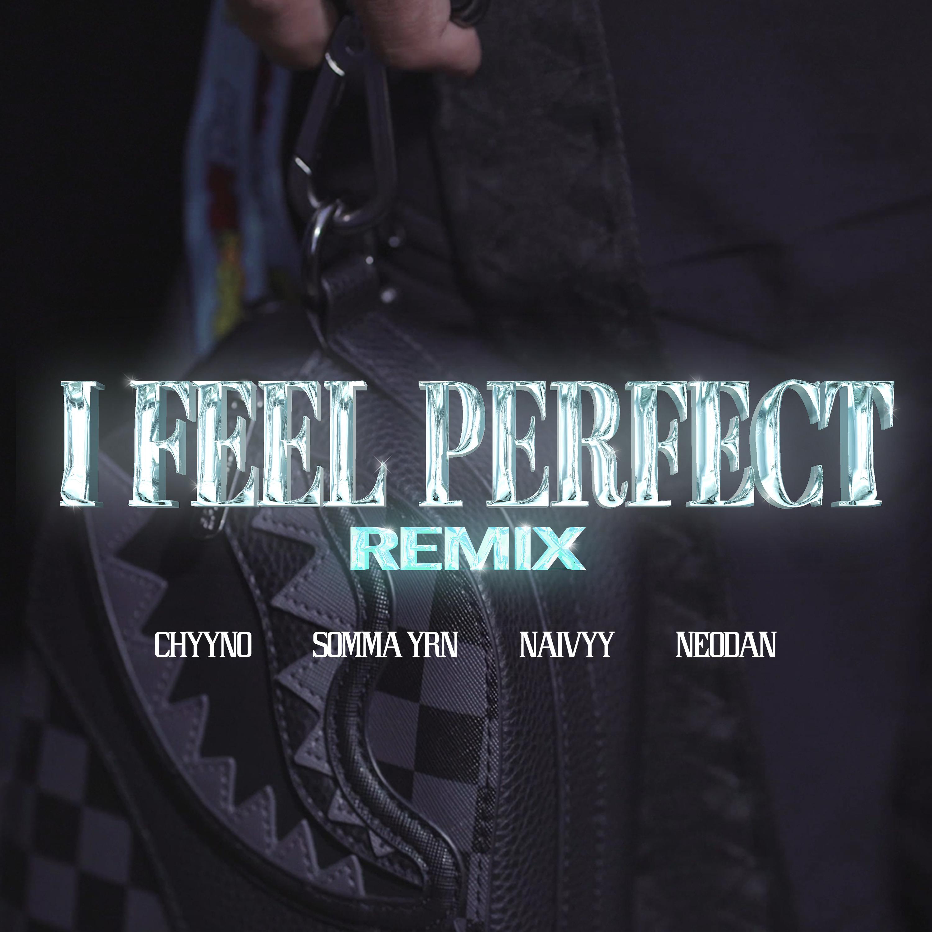 Постер альбома I Feel Perfect Remix