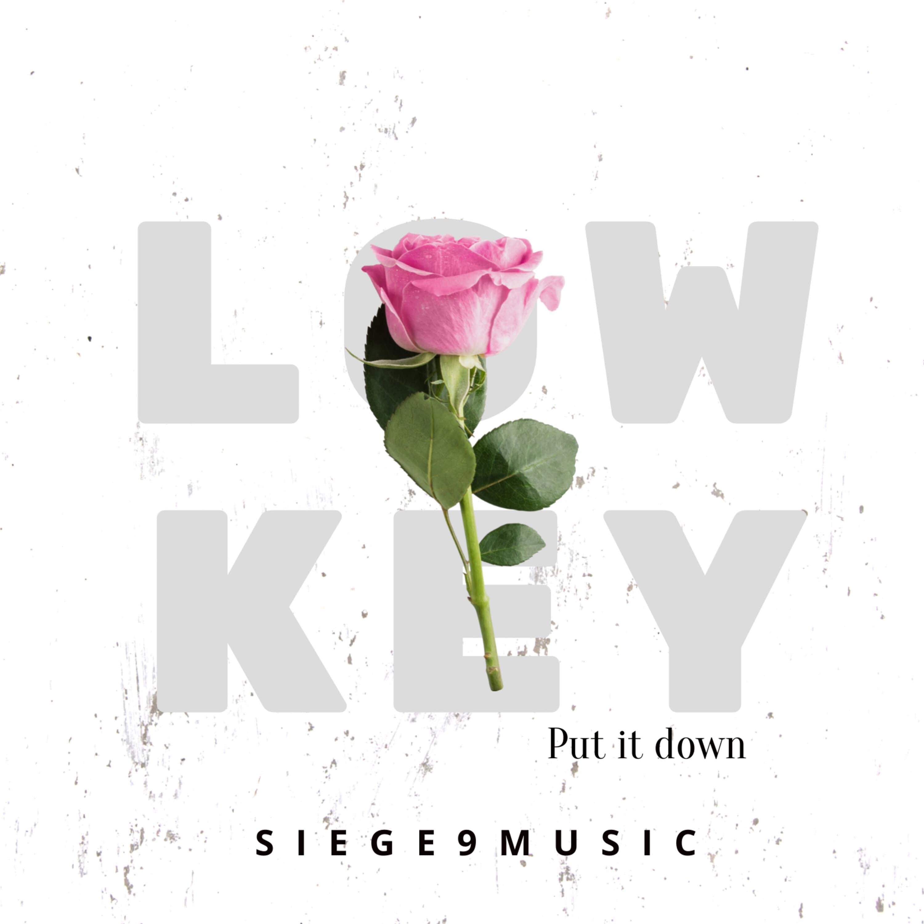 Постер альбома Low Key (Put It Down)
