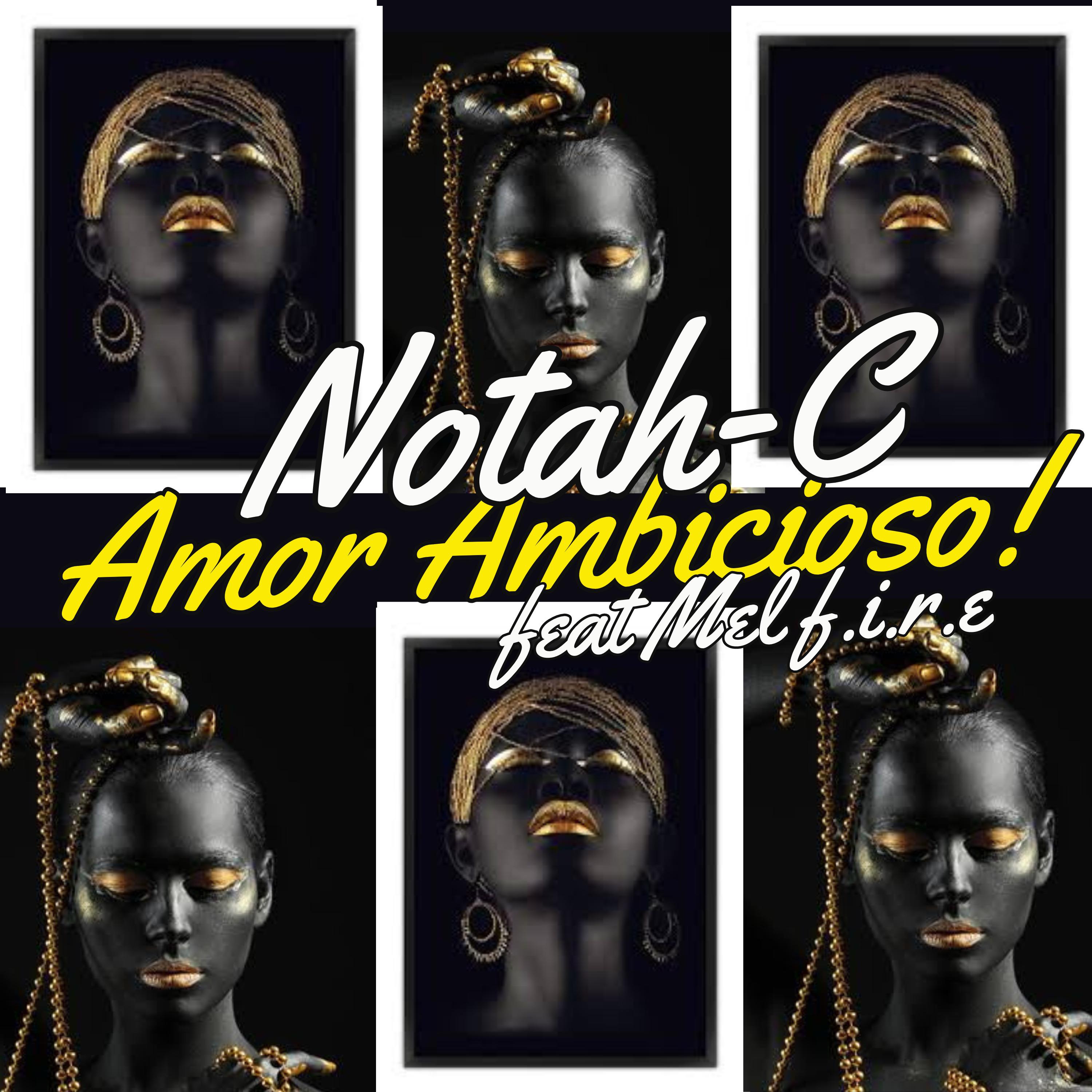 Постер альбома Amor Ambicioso