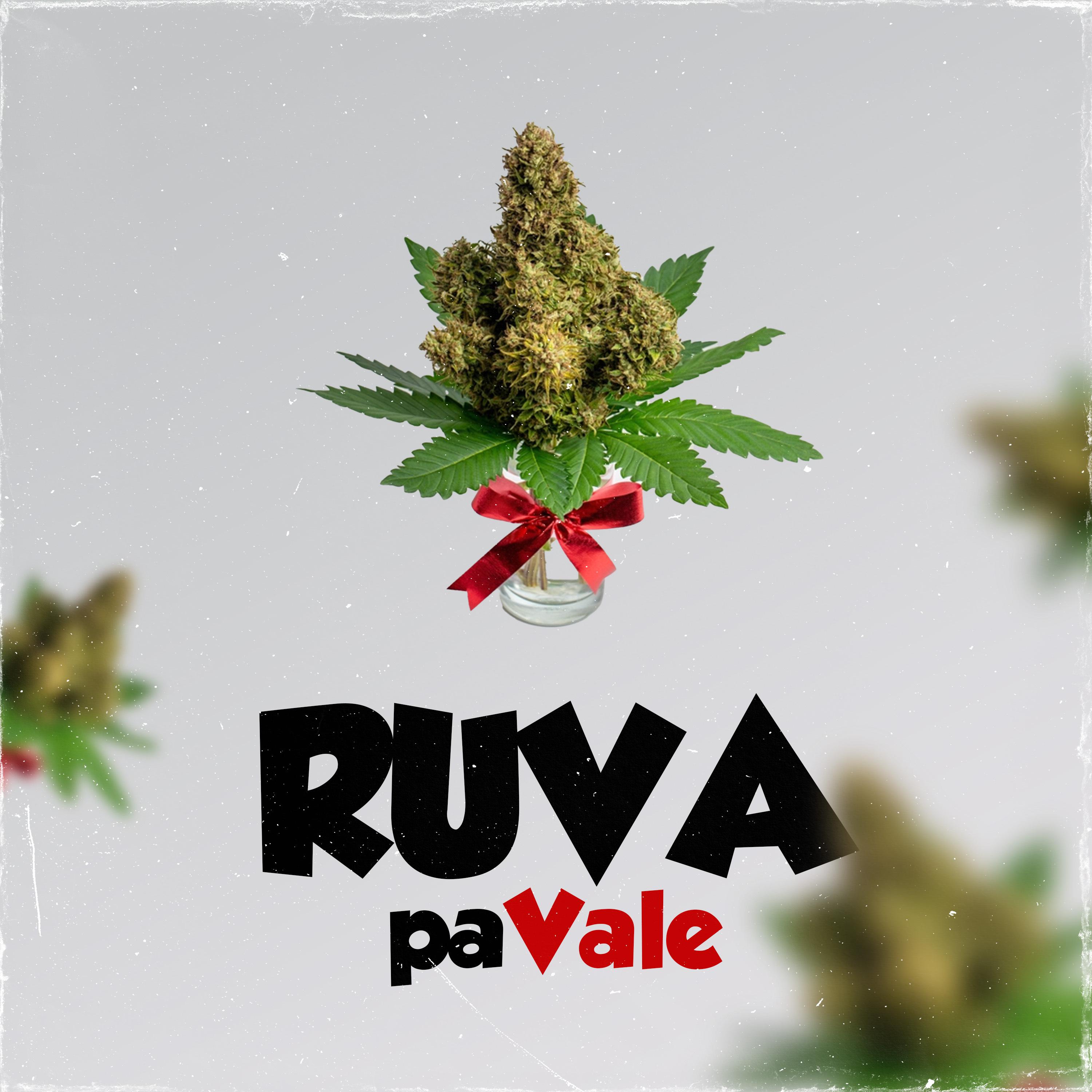 Постер альбома Ruva Pavale