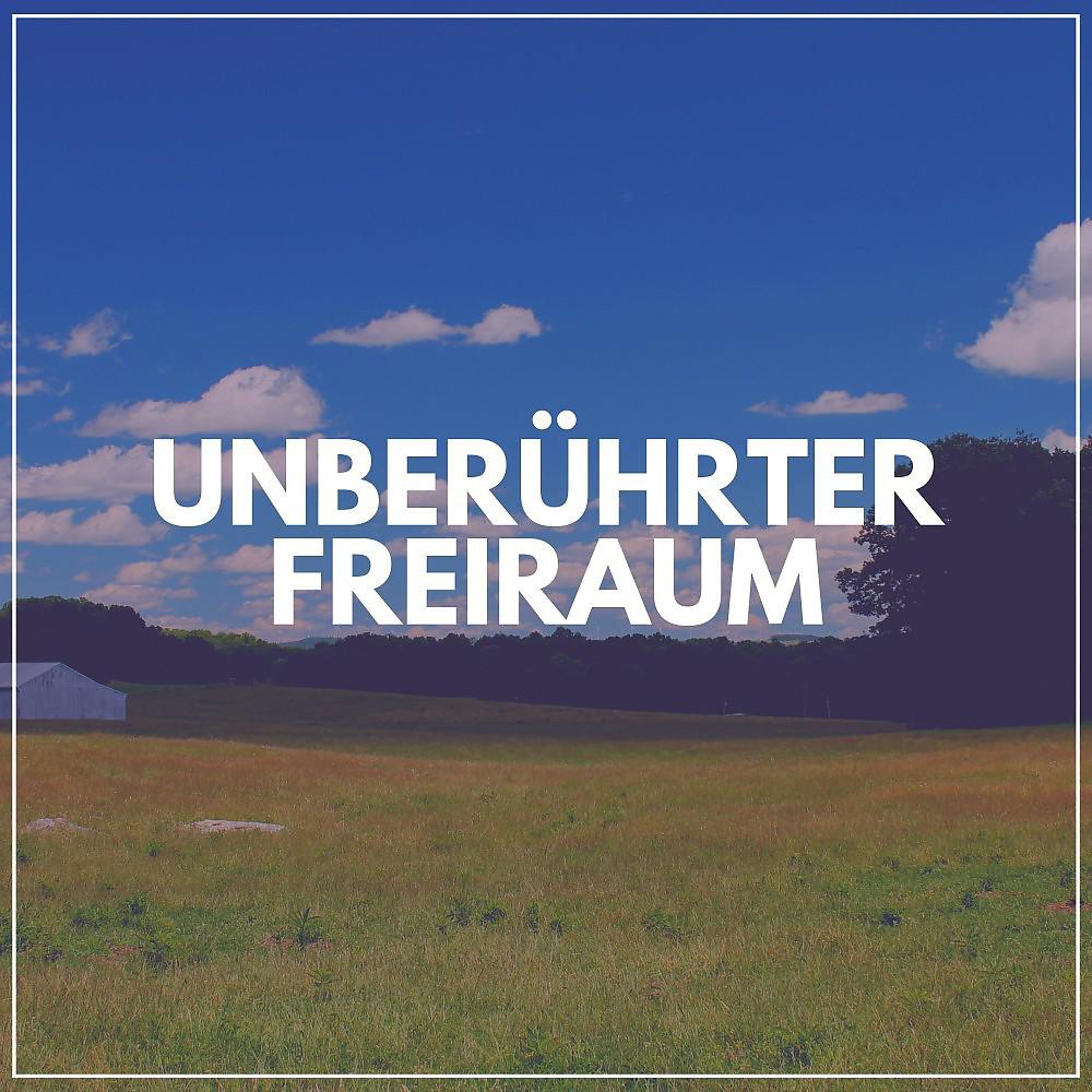 Постер альбома Unberührter Freiraum