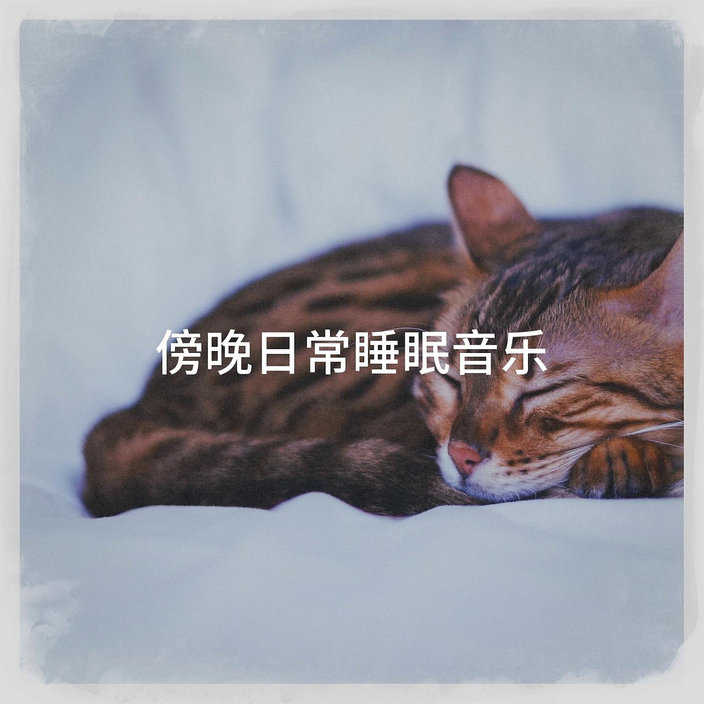 Постер альбома 傍晚日常睡眠音乐