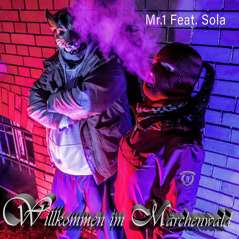 Постер альбома Willkommen im Märchenwald
