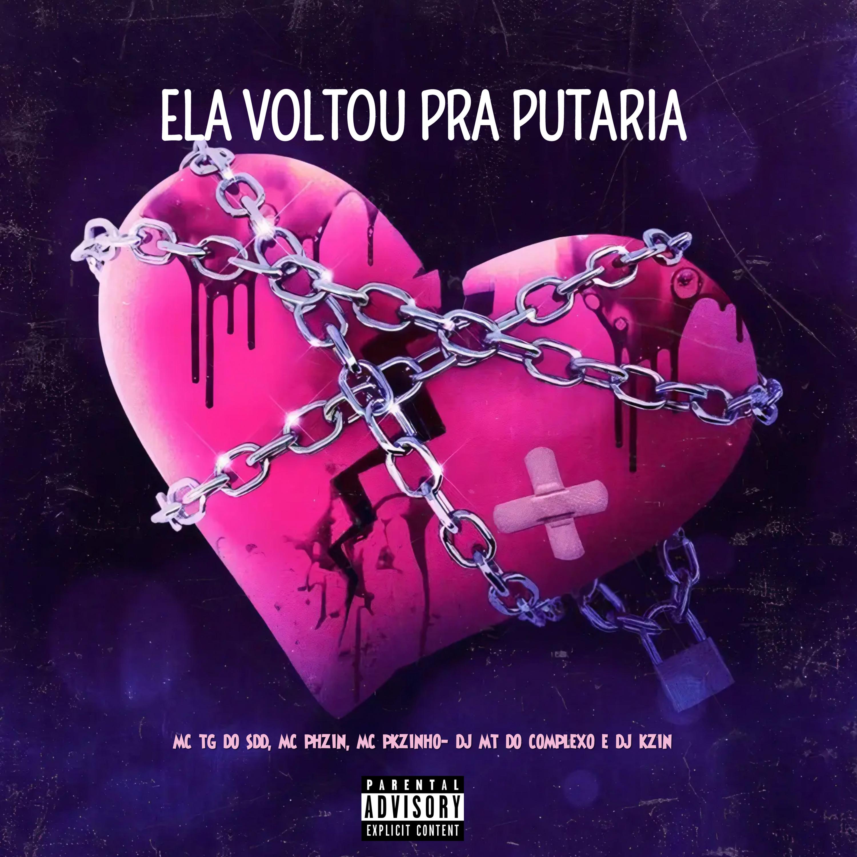 Постер альбома Ela Voltou pra Putaria