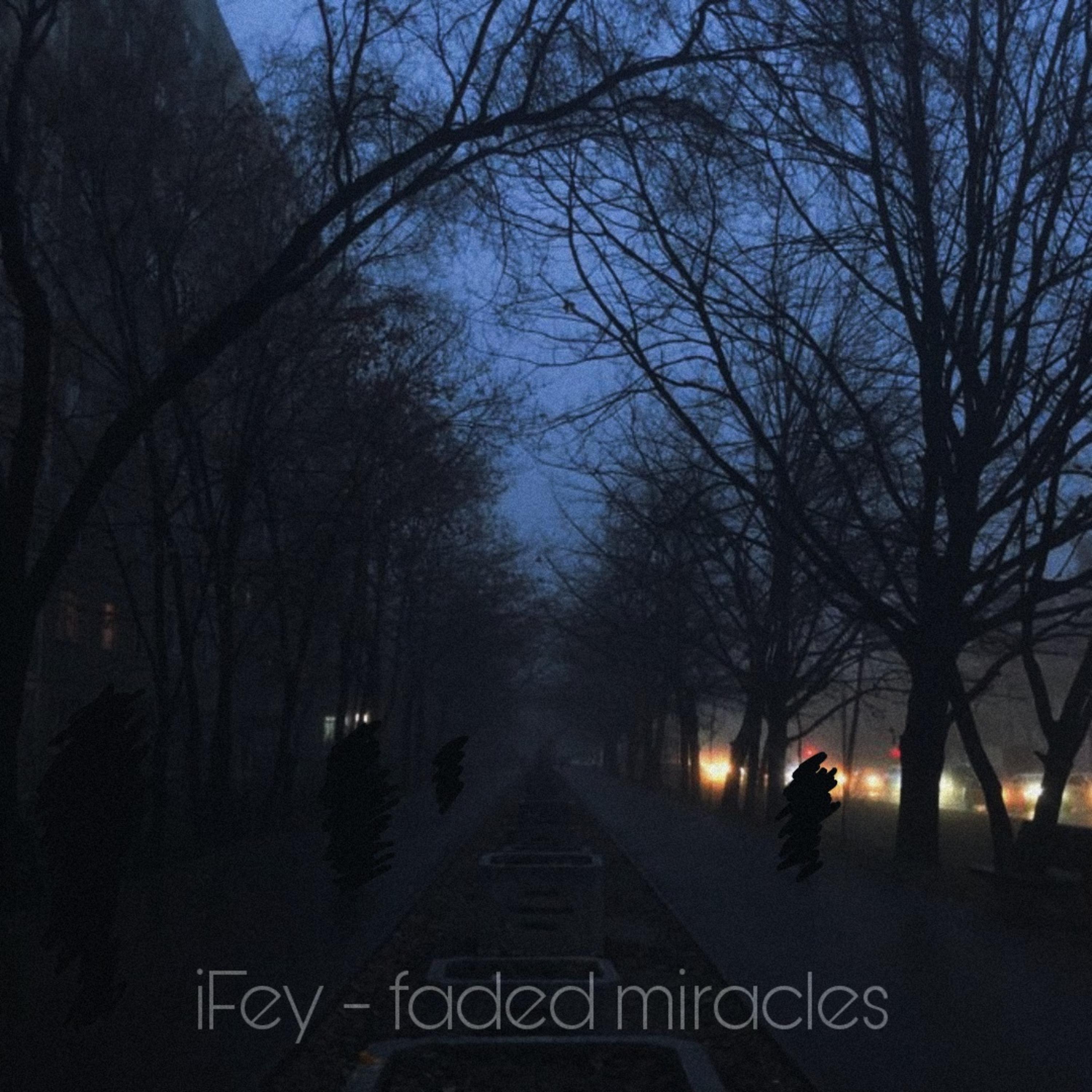 Постер альбома Faded Miracles