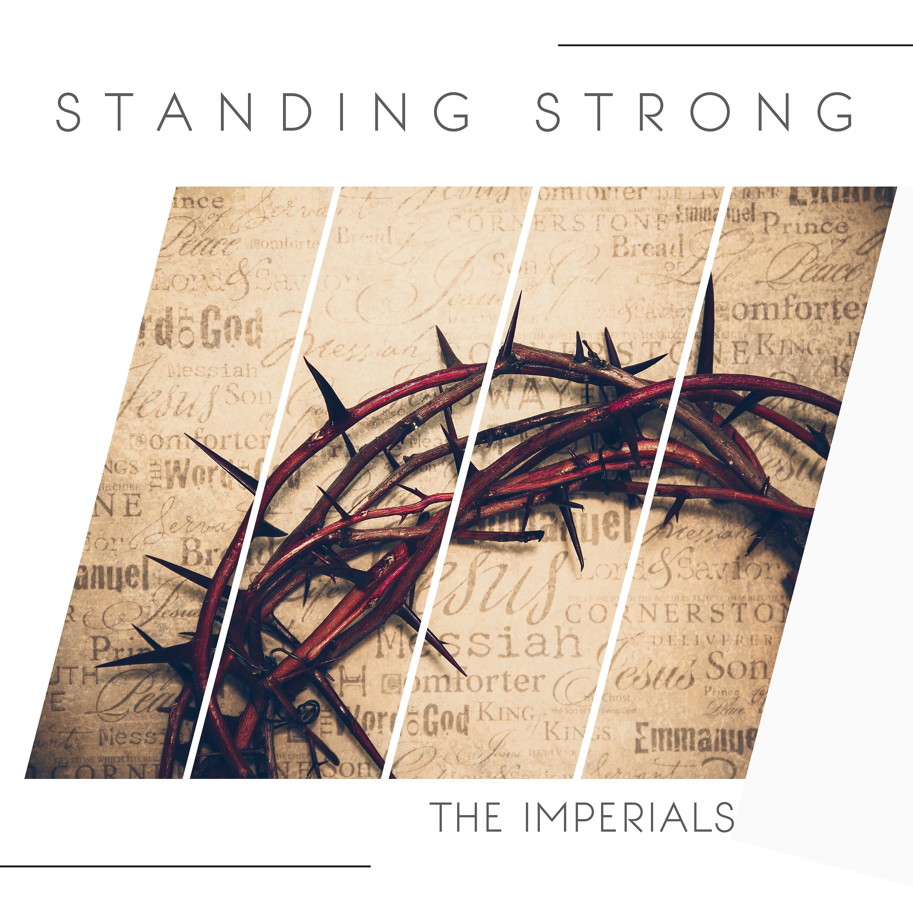 Постер альбома Standing Strong