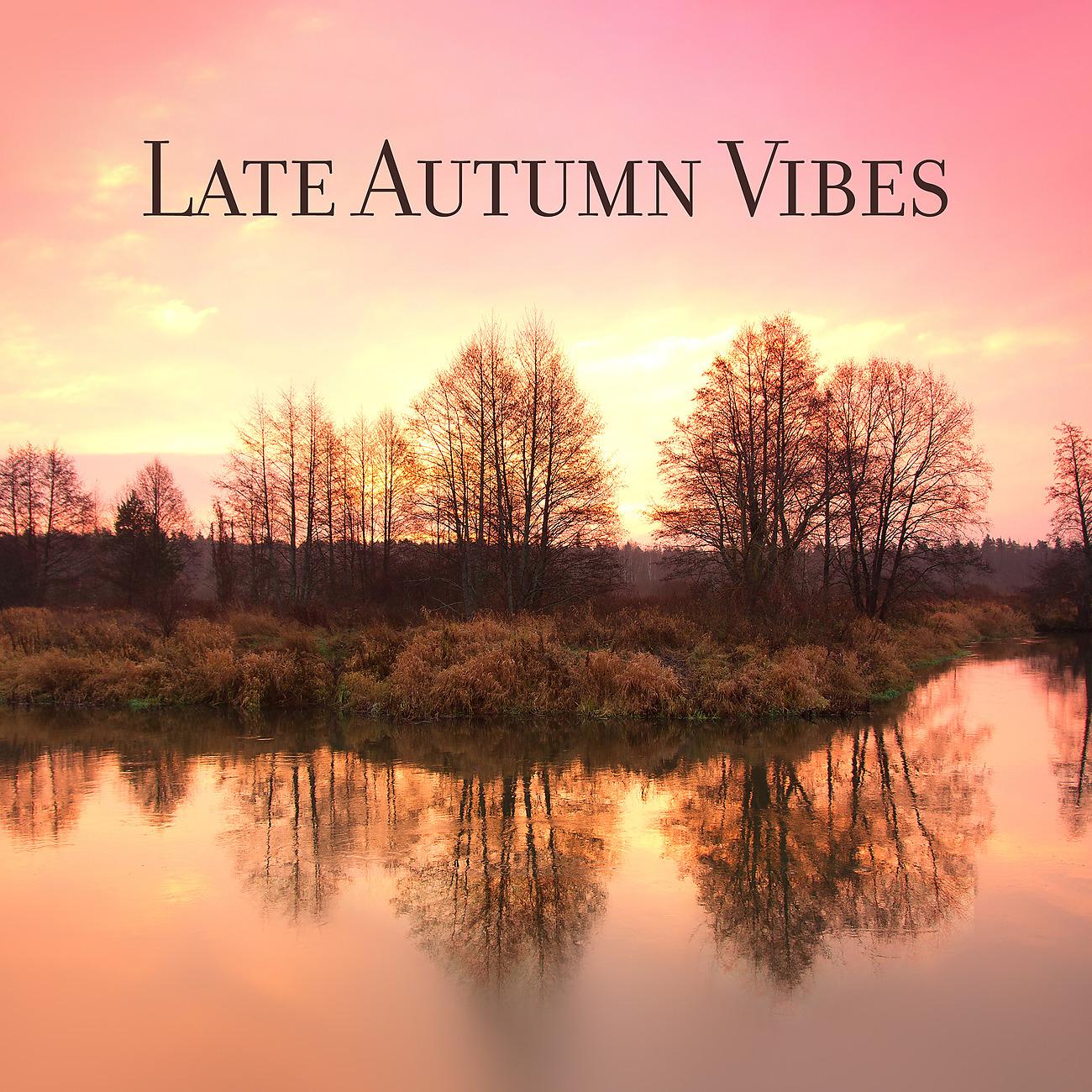 Постер альбома Late Autumn Vibes