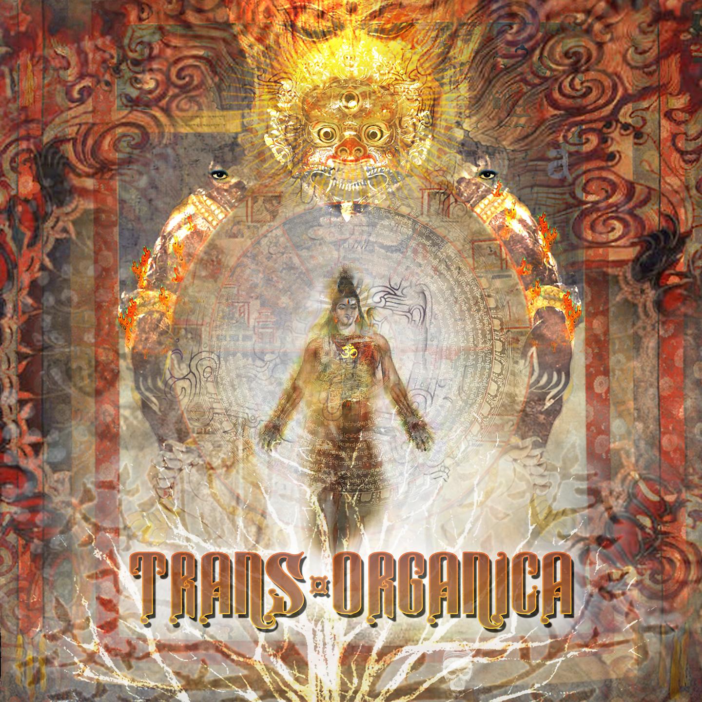 Постер альбома Trans-Organica, Vol. 1