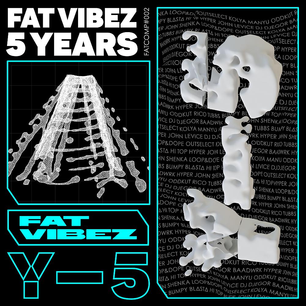 Постер альбома FAT VIBEZ 5 Years