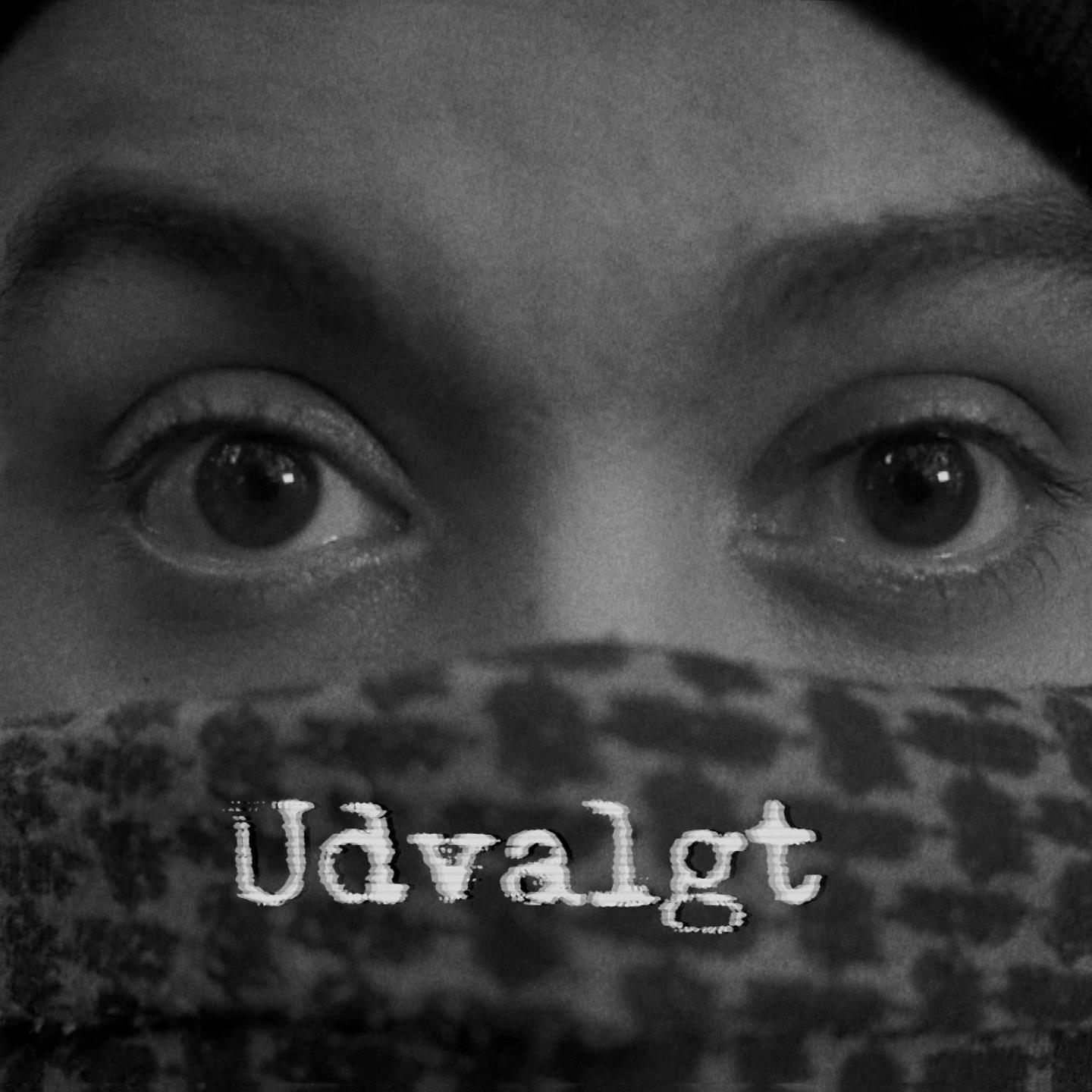 Постер альбома Udvalgt