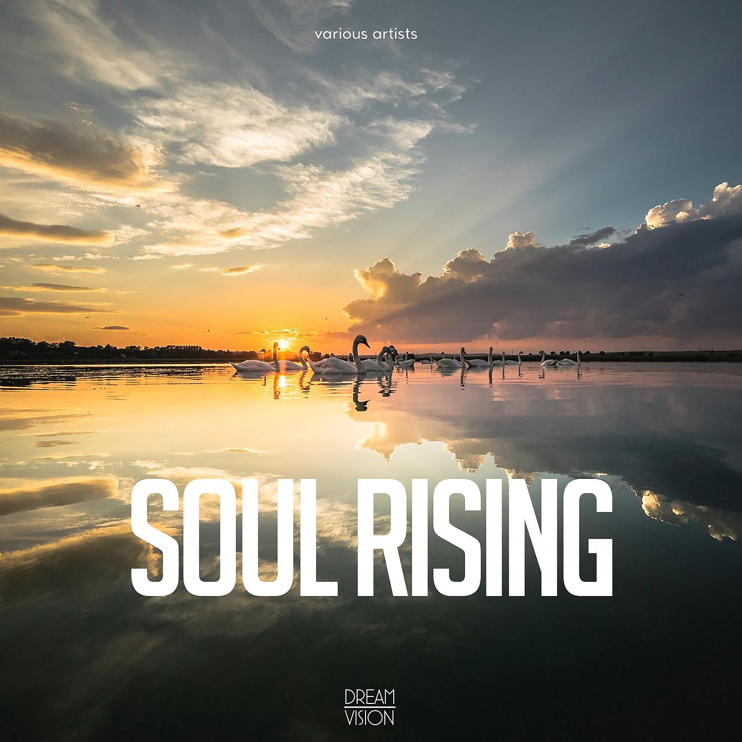 Постер альбома Soul Rising
