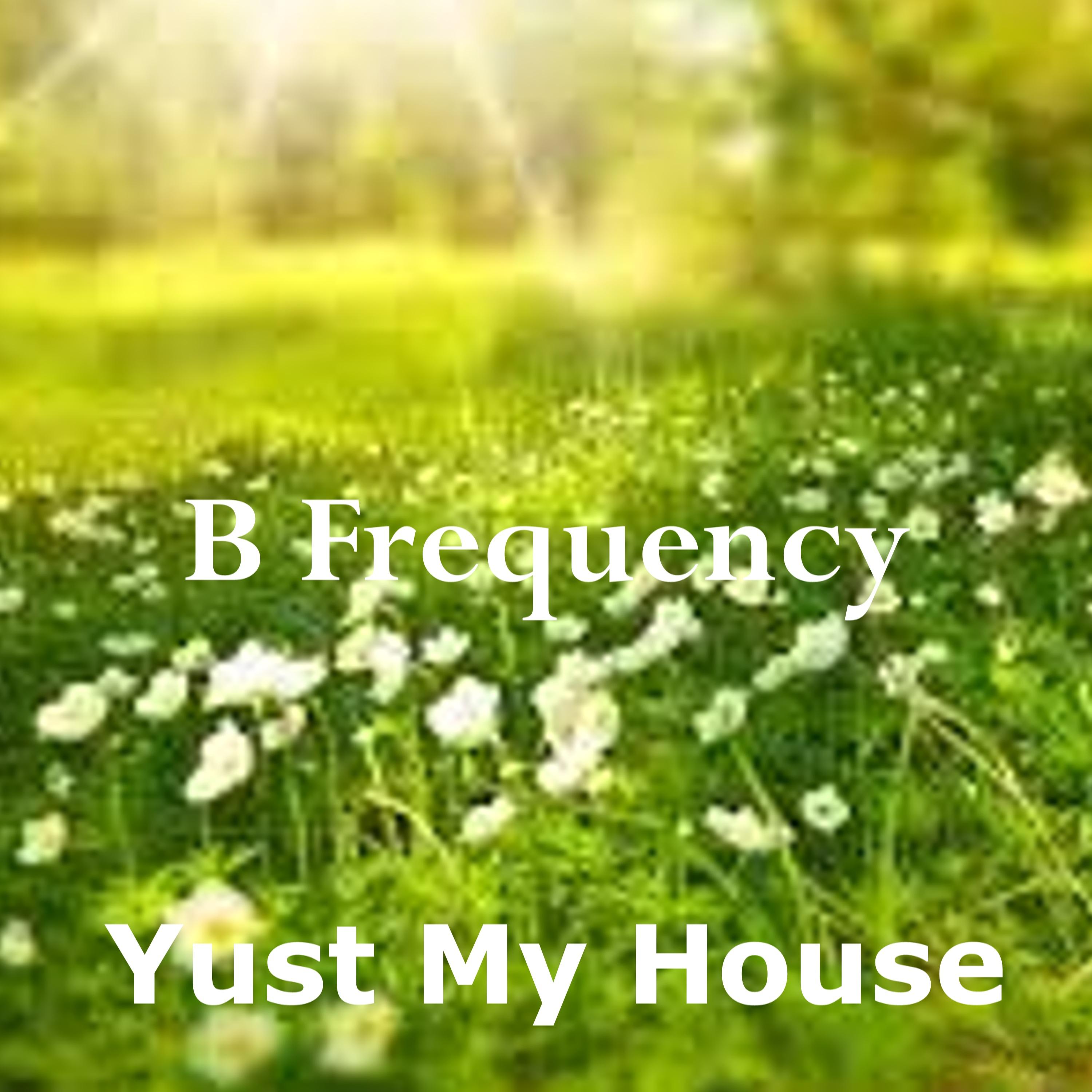 Постер альбома B Frequency