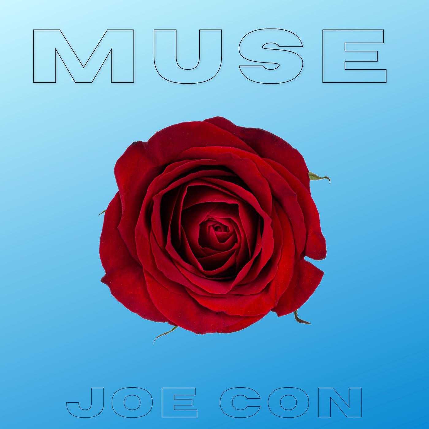 Постер альбома Muse