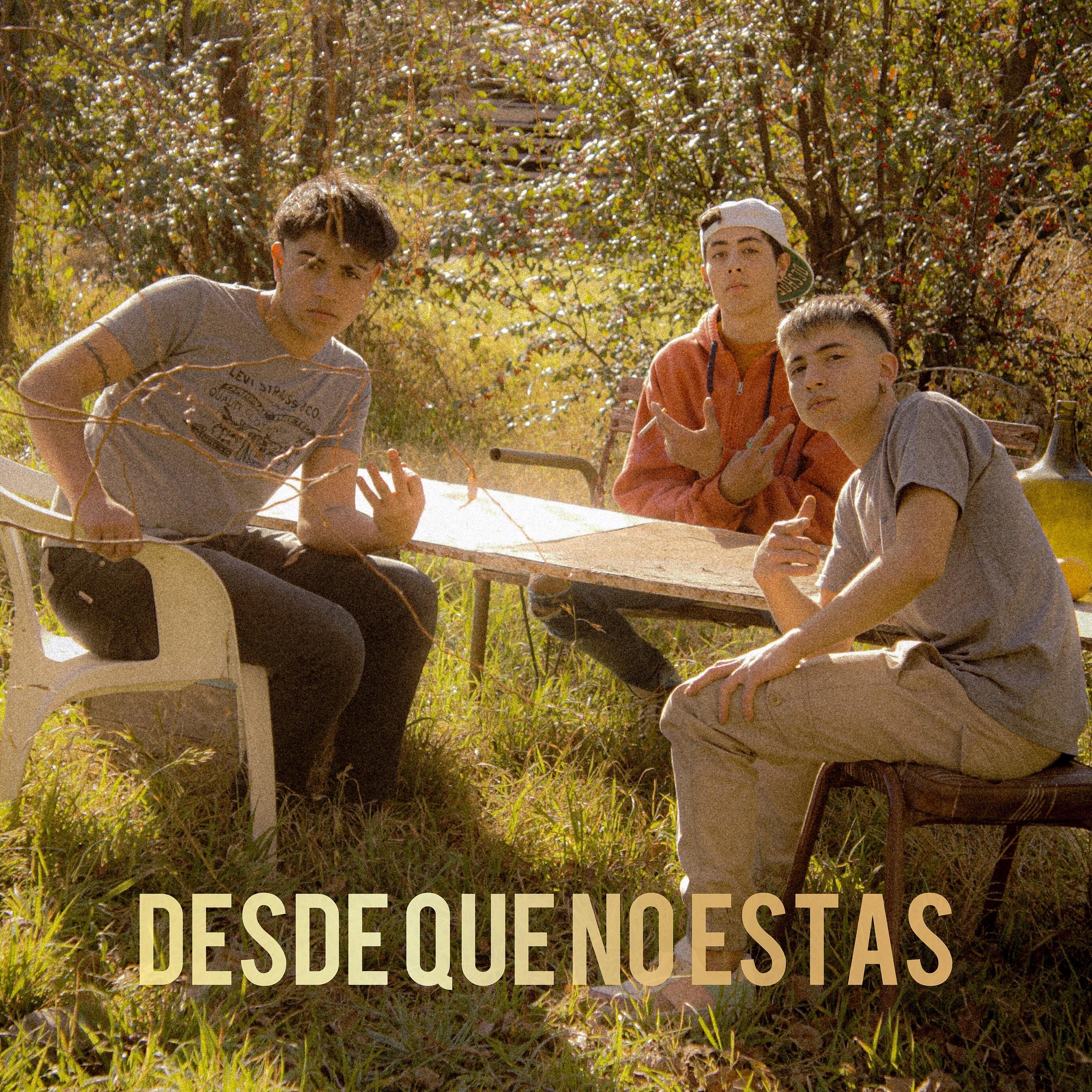 Постер альбома Desde Que No Estás