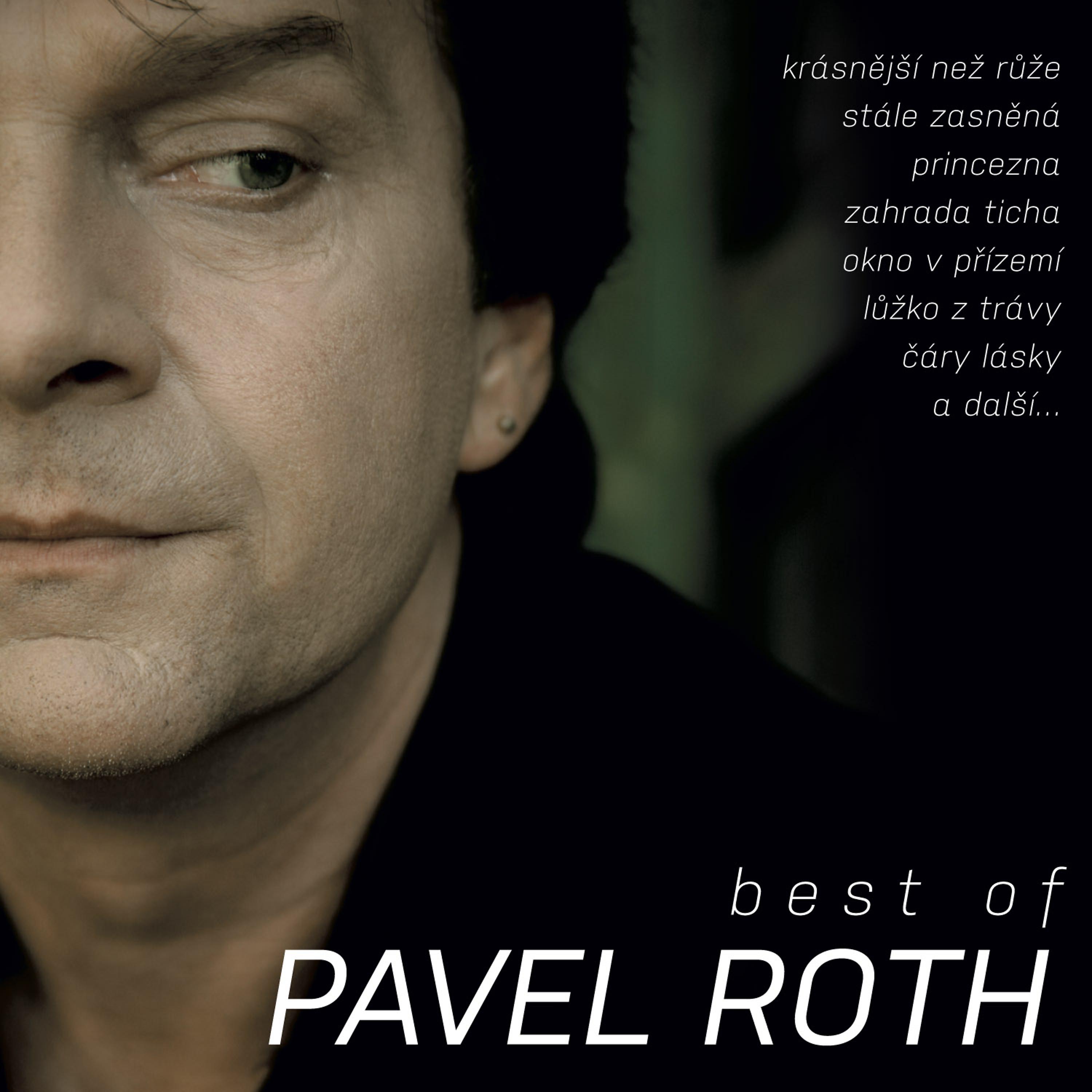 Постер альбома Pavel Roth - Best Of