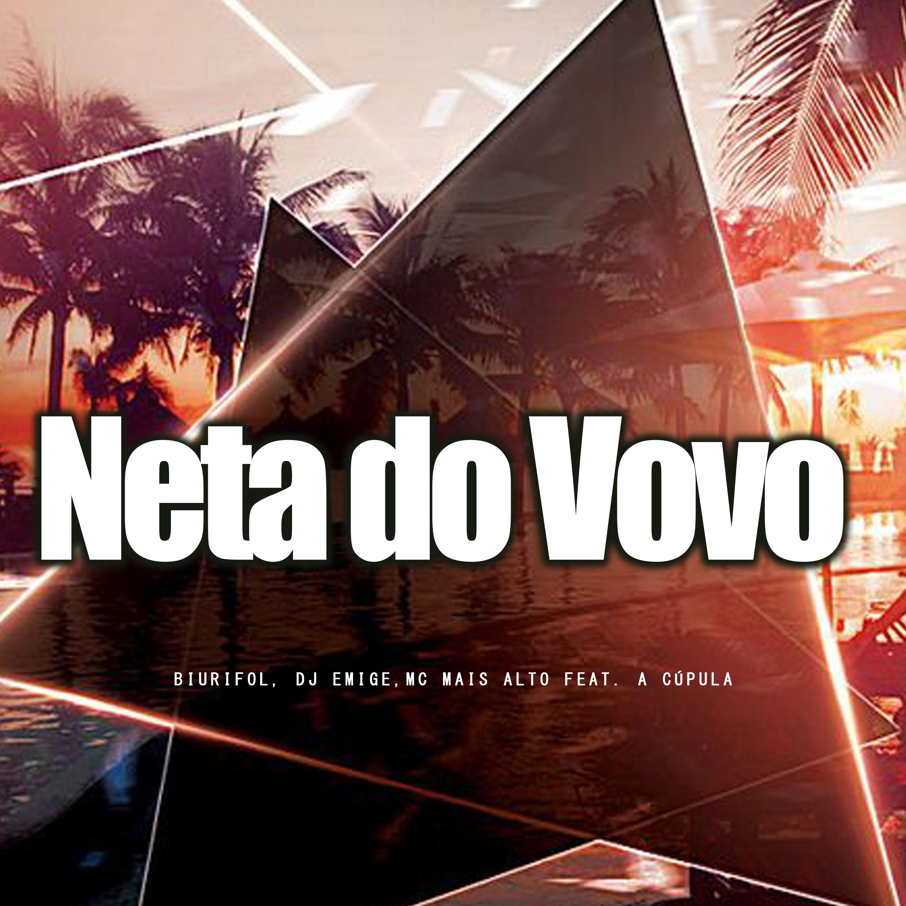 Постер альбома Neta do Vovo