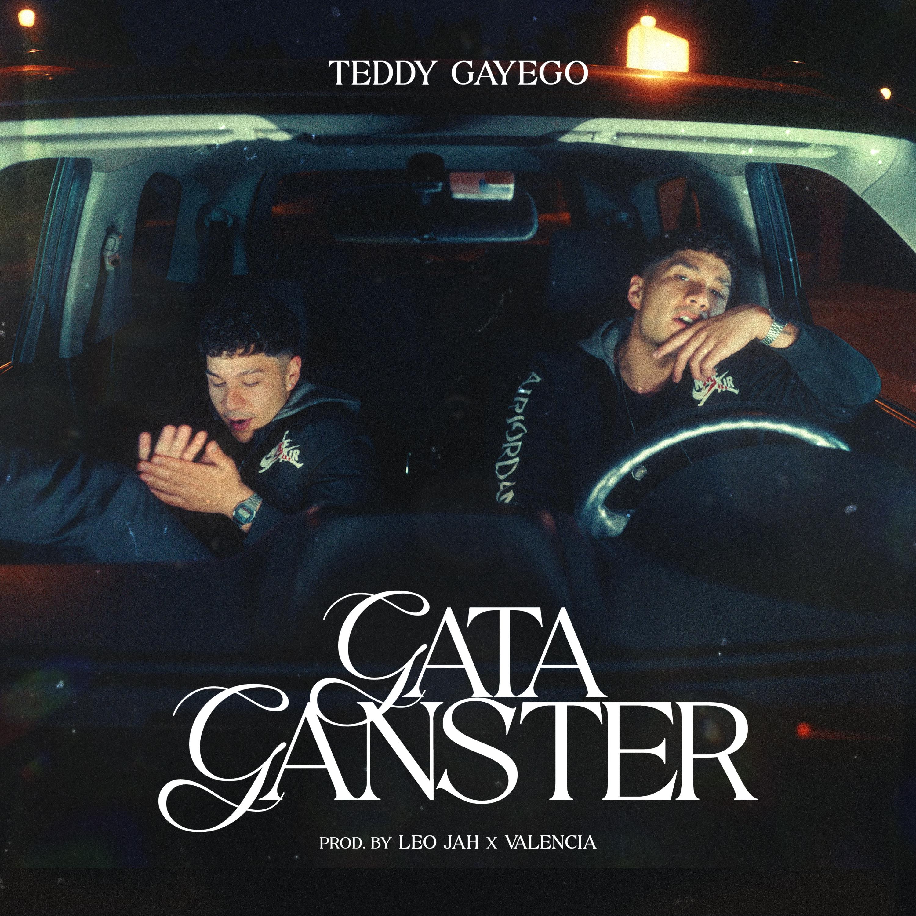 Постер альбома Gata Ganster