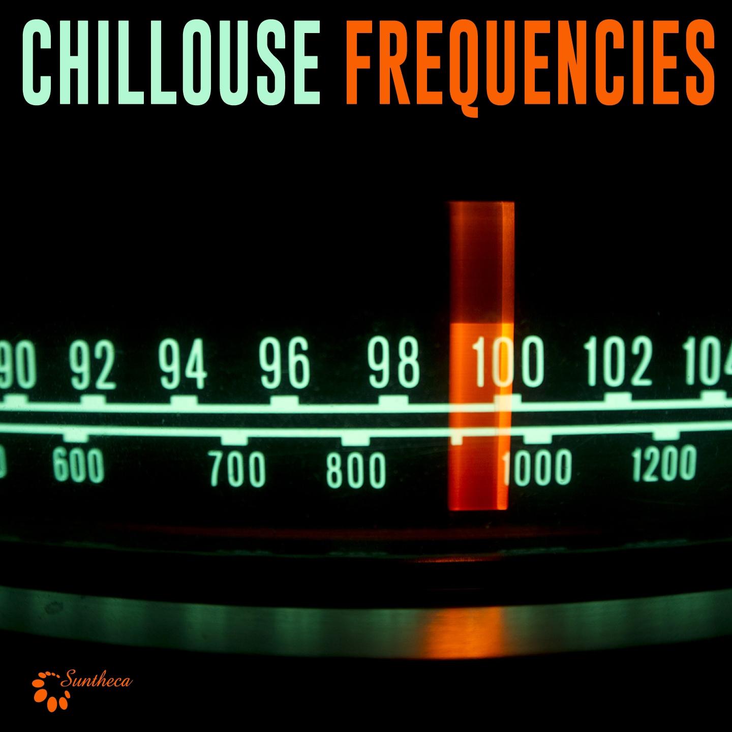 Постер альбома Chillhouse Frequencies