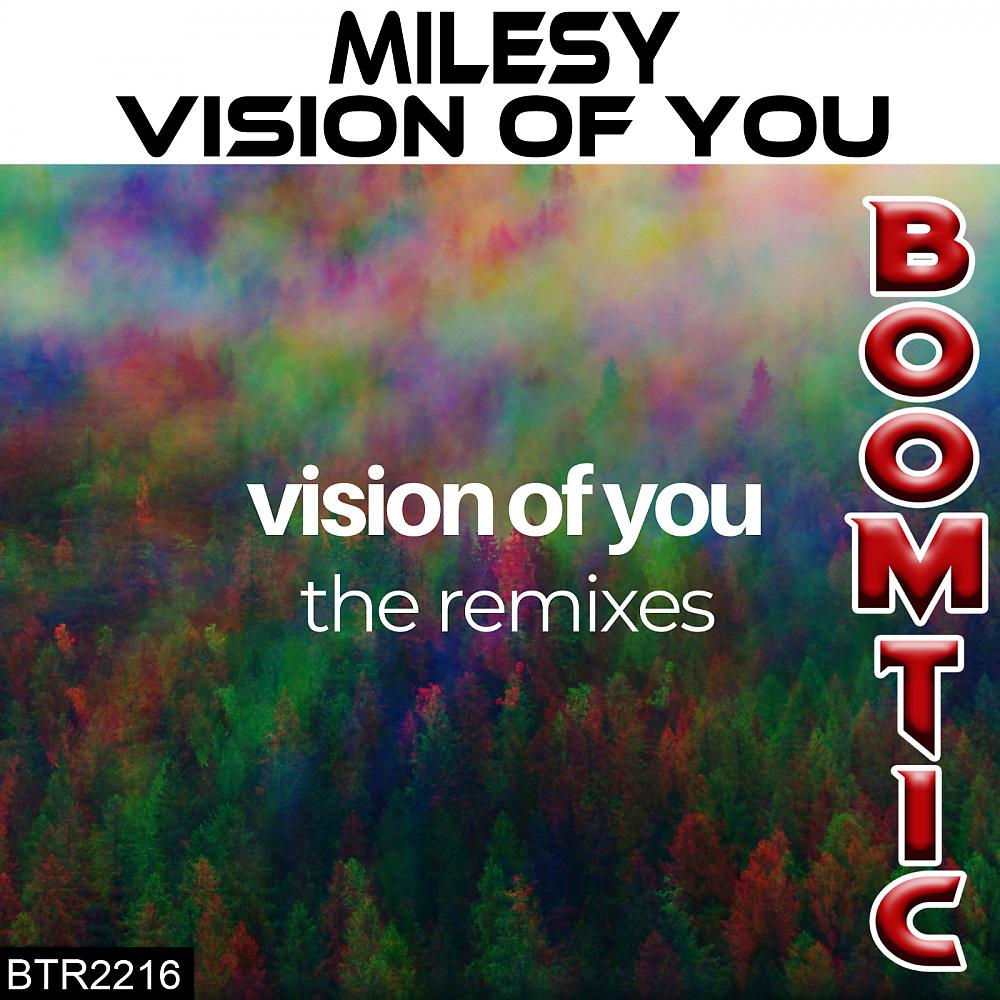 Постер альбома Vision Of You