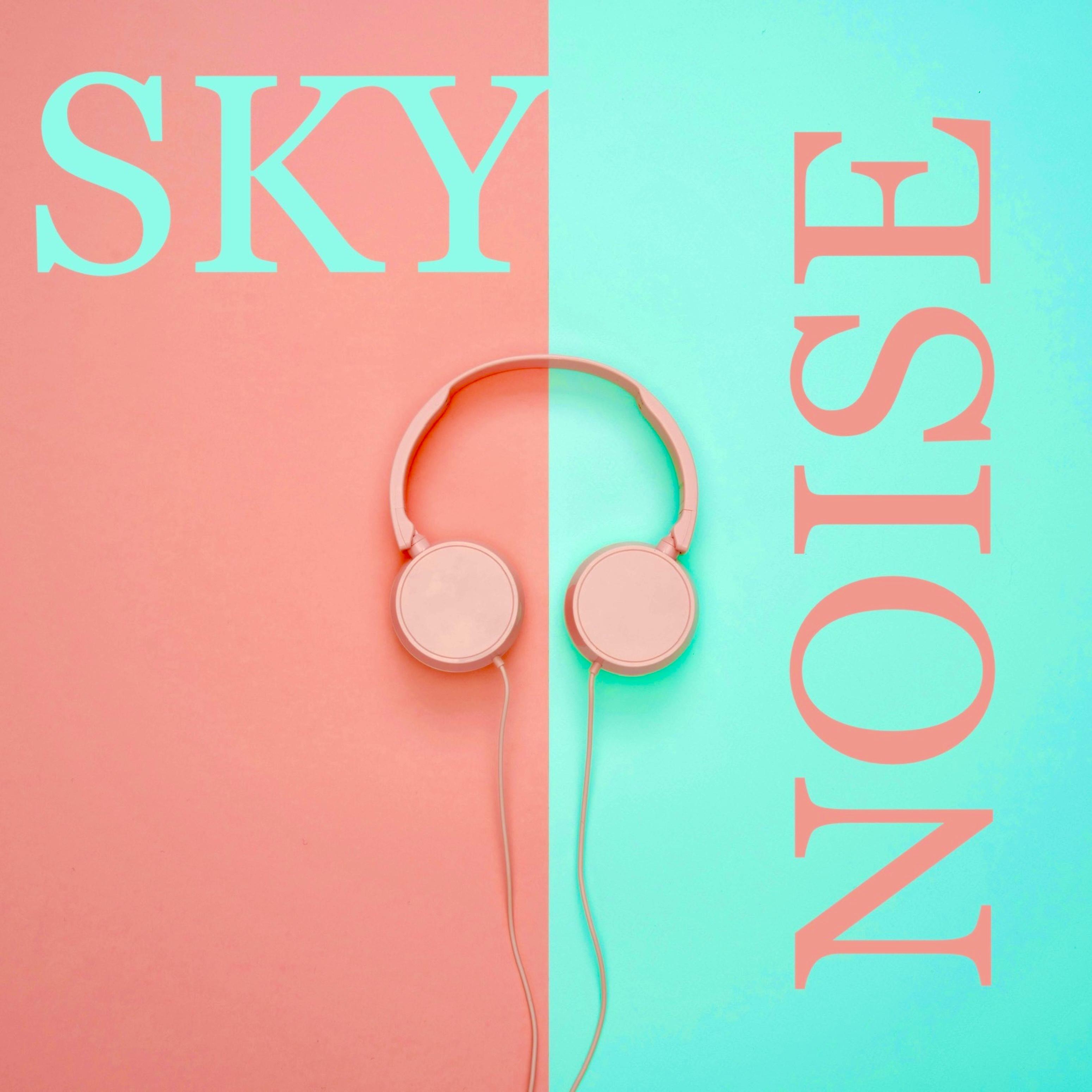 Постер альбома Sky Noise