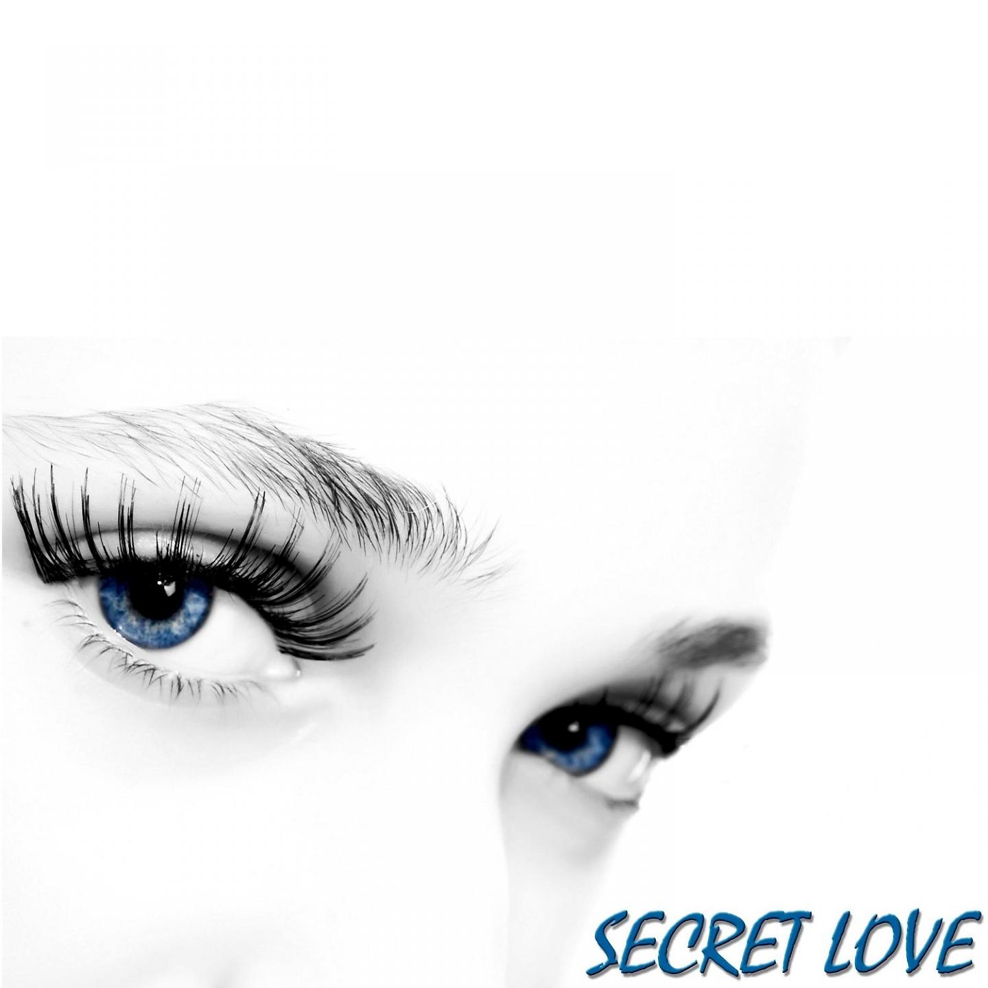 Постер альбома Secret Love - 70 Unforgettable Love Classics