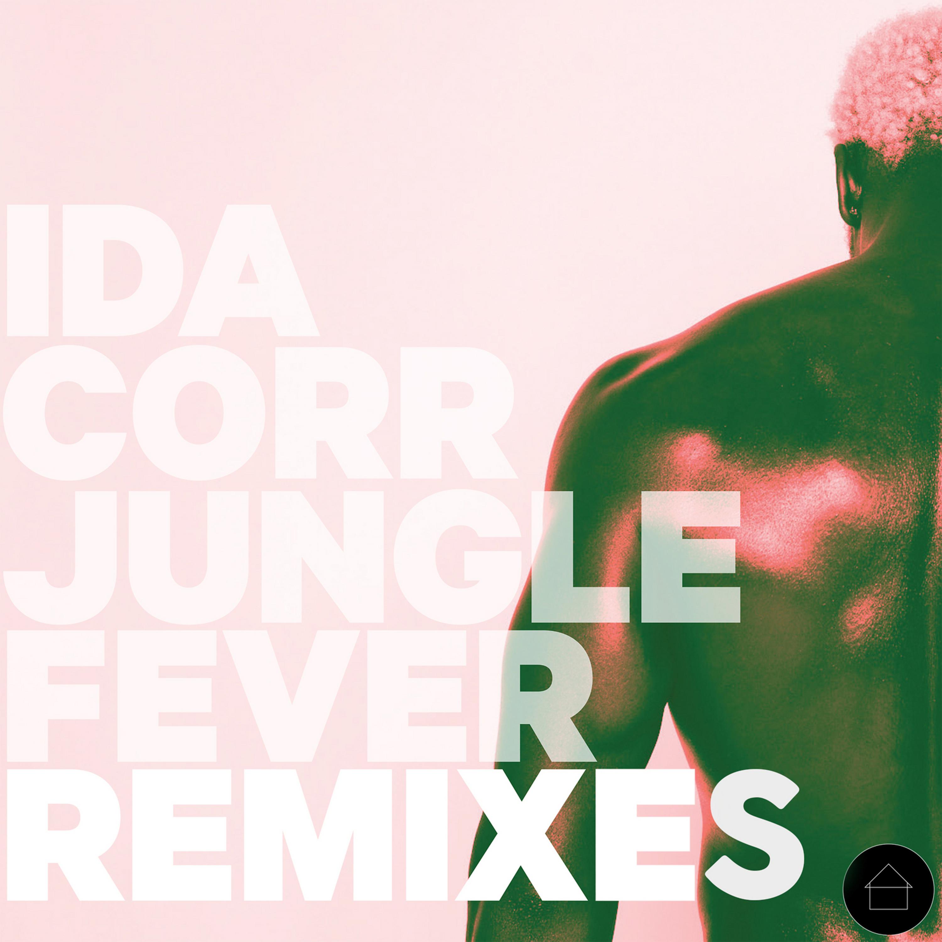 Постер альбома Jungle Fever Remixes