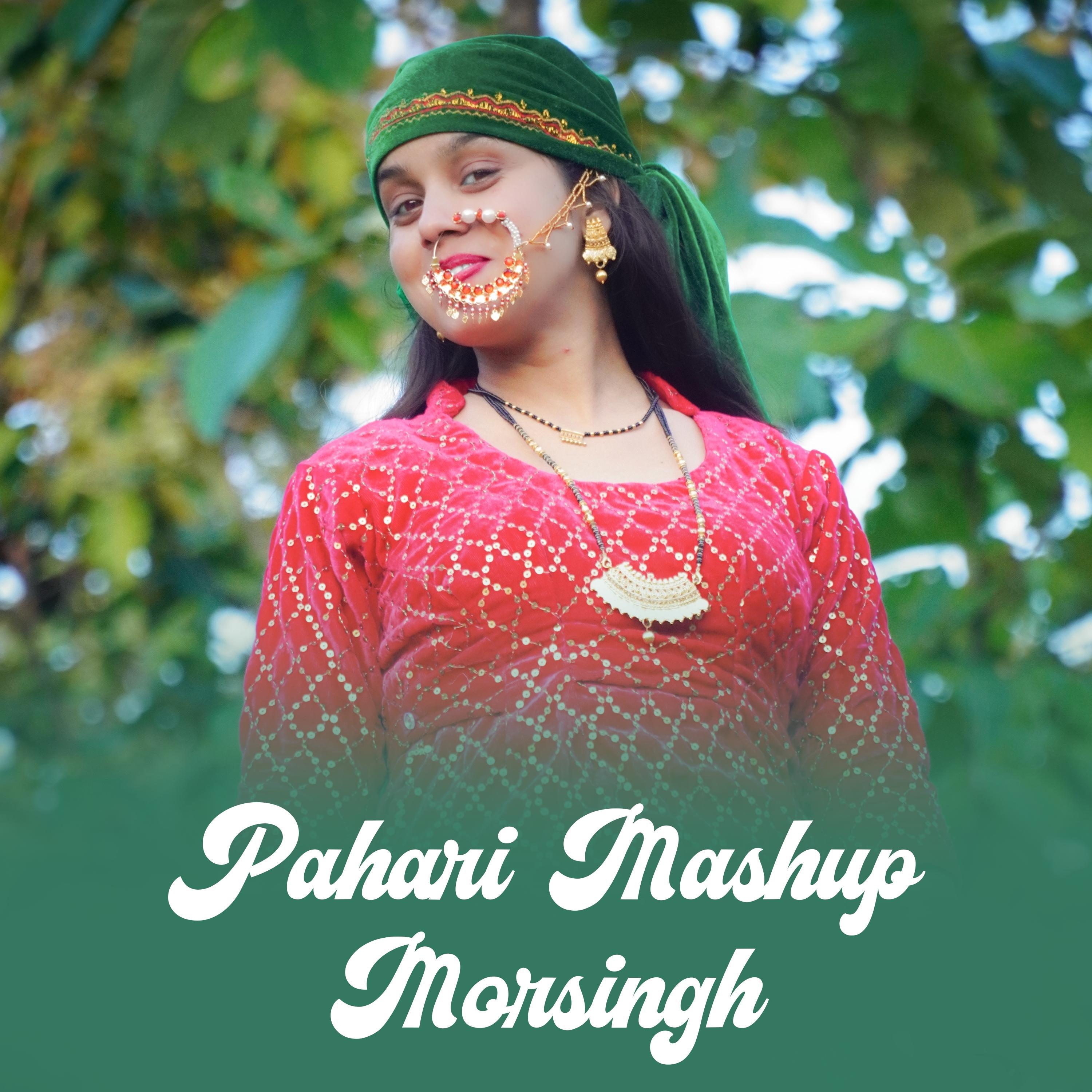Постер альбома Pahari Mashup Morsingh