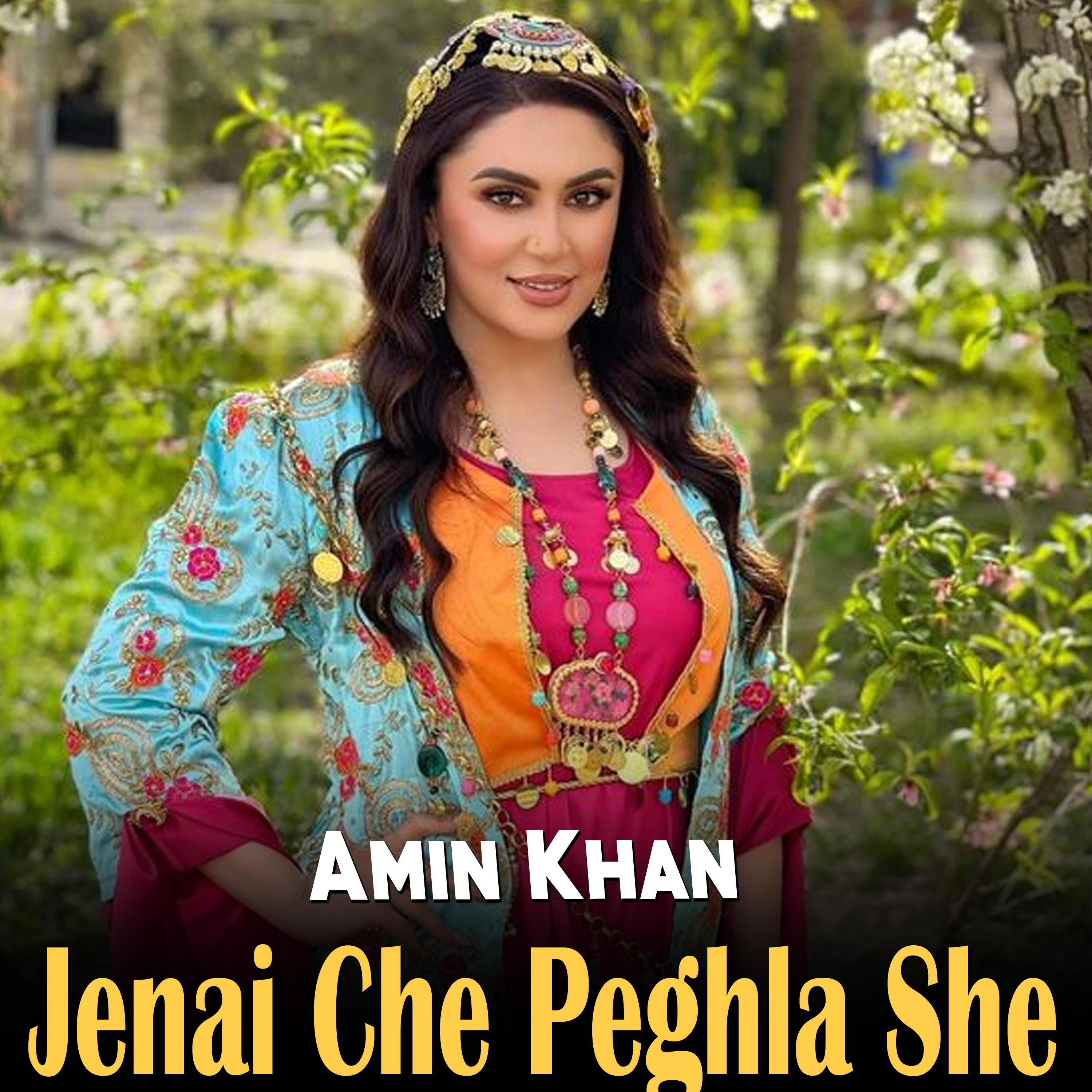 Постер альбома Jenai Che Peghla She