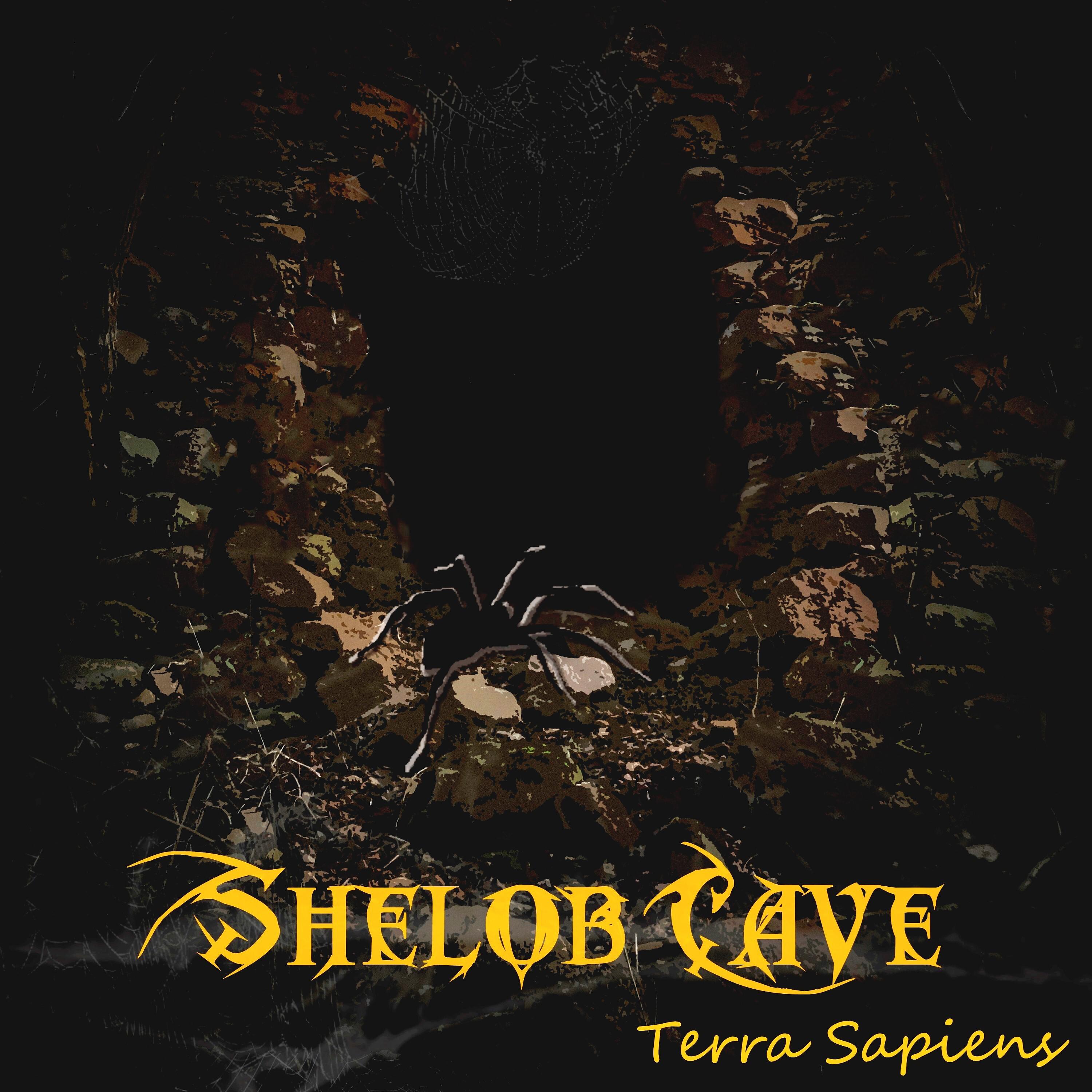 Постер альбома Shelob Cave