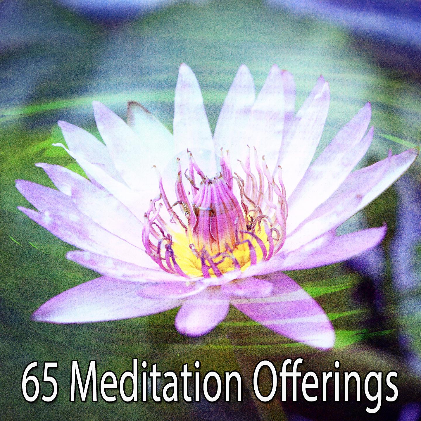 Постер альбома 65 подношений для медитации