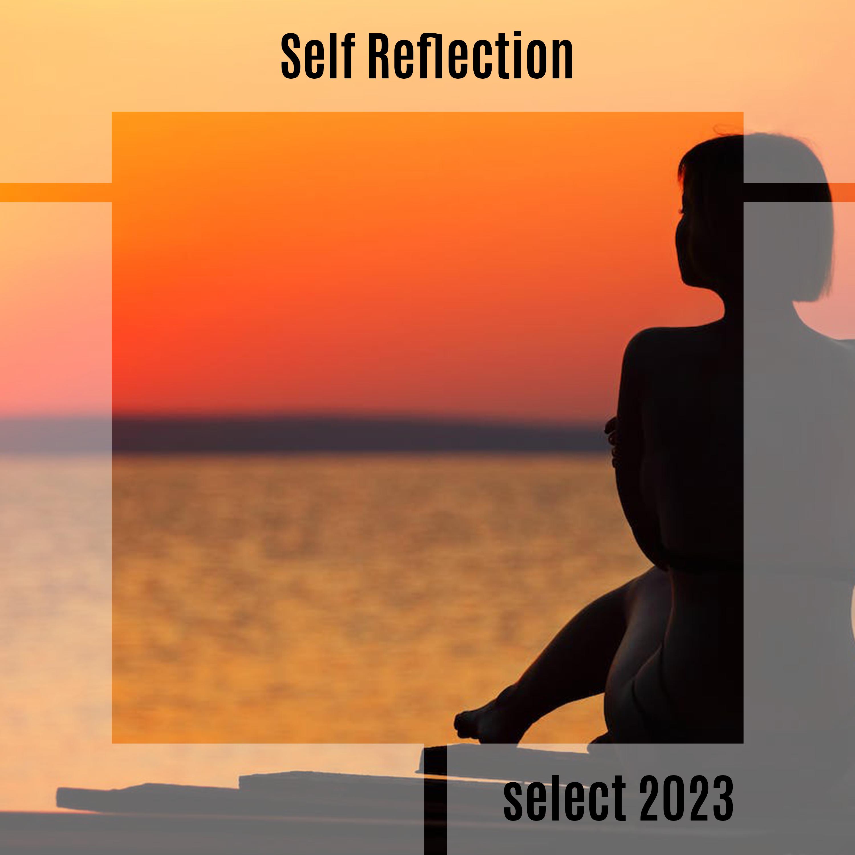 Постер альбома Self Reflection Select 2023