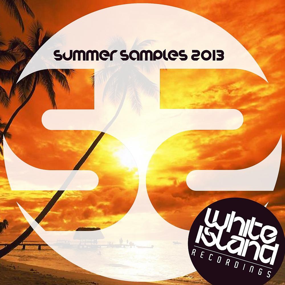 Постер альбома Summer Samples 2013