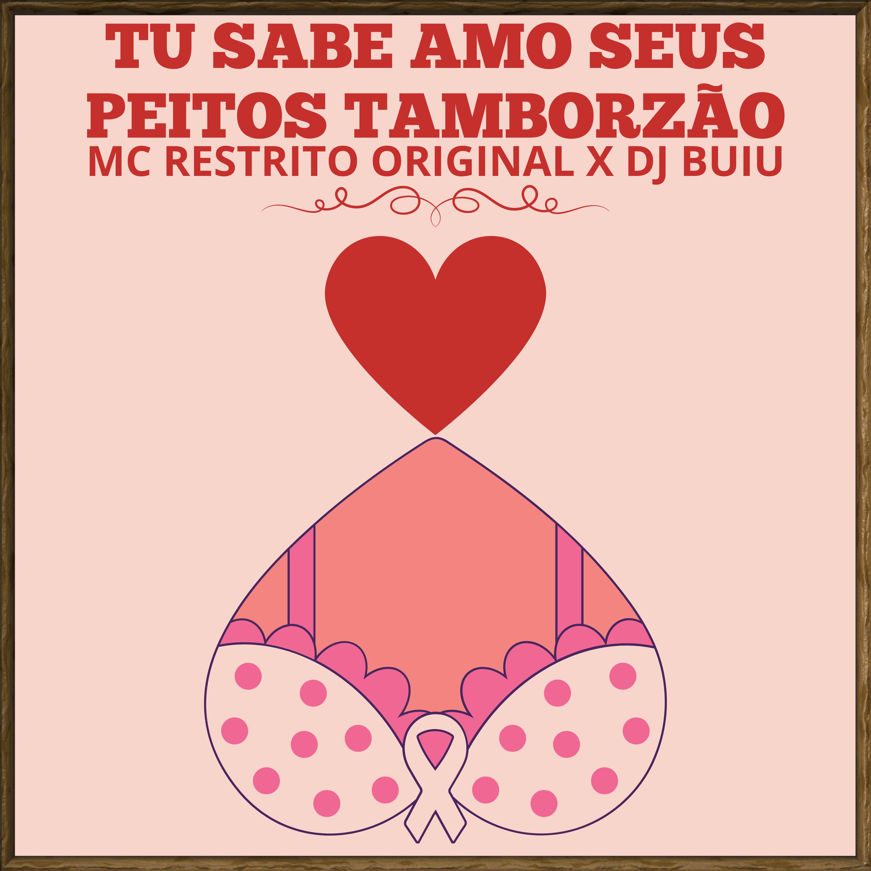 Постер альбома Tu Sabe Amo Seus Peitos Tamborzão