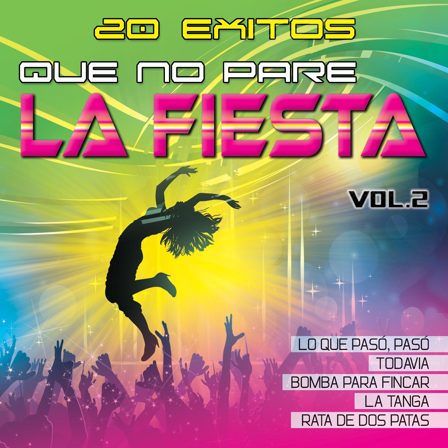 Постер альбома Que No Pare la Fiesta, Vol. 2