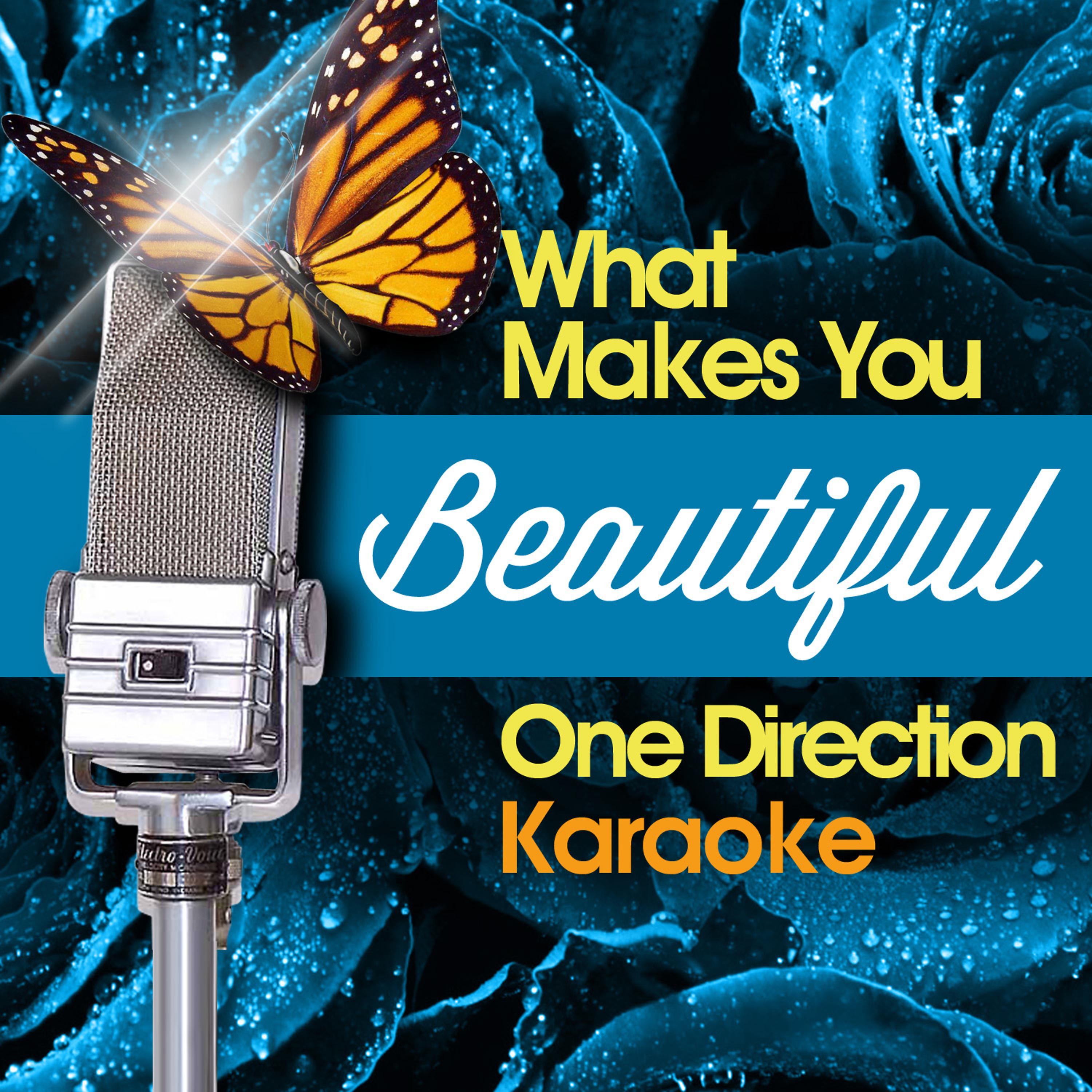 Постер альбома What Makes You Beautiful - One Direction Karaoke