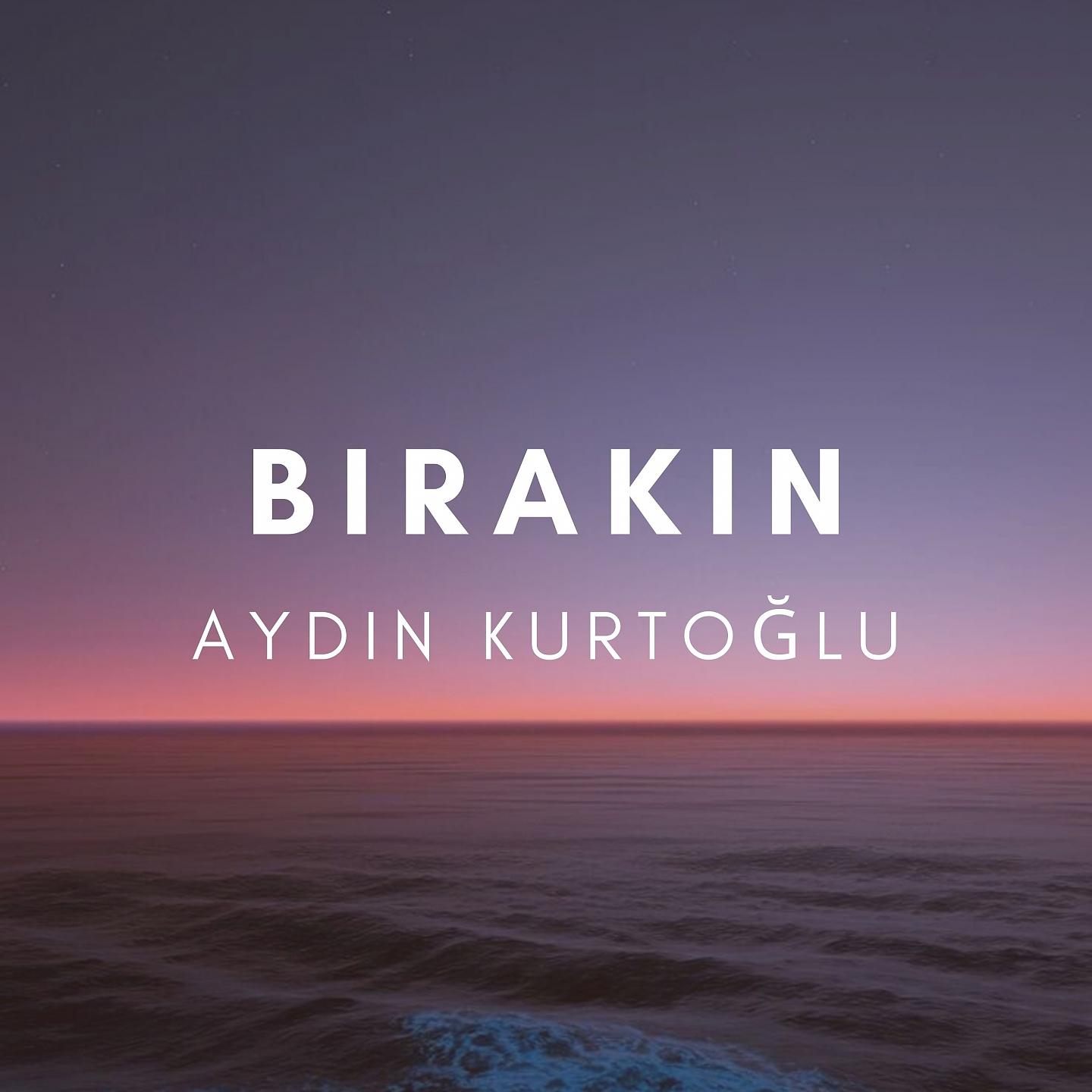 Постер альбома Bırakın