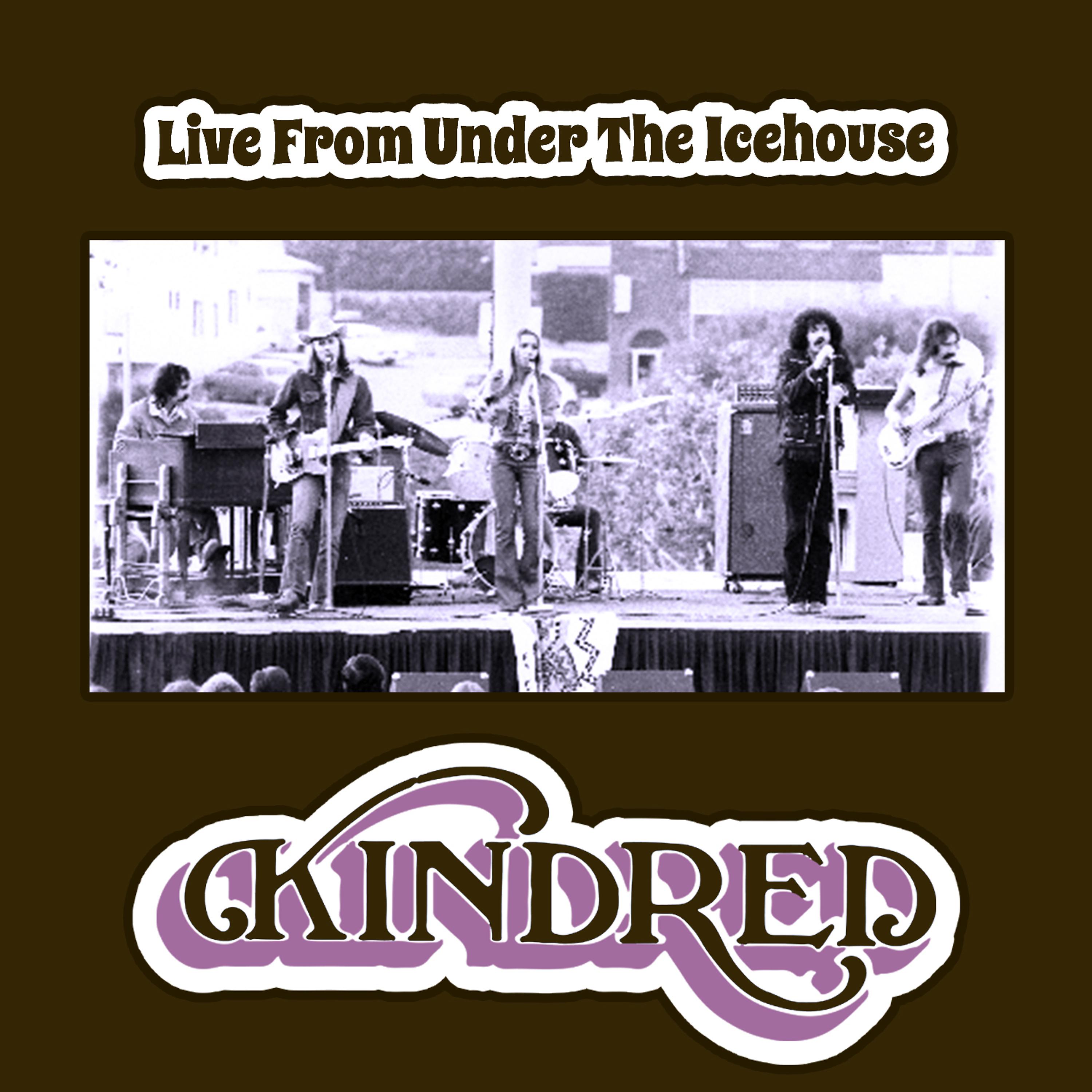 Постер альбома Live from Under the Icehouse