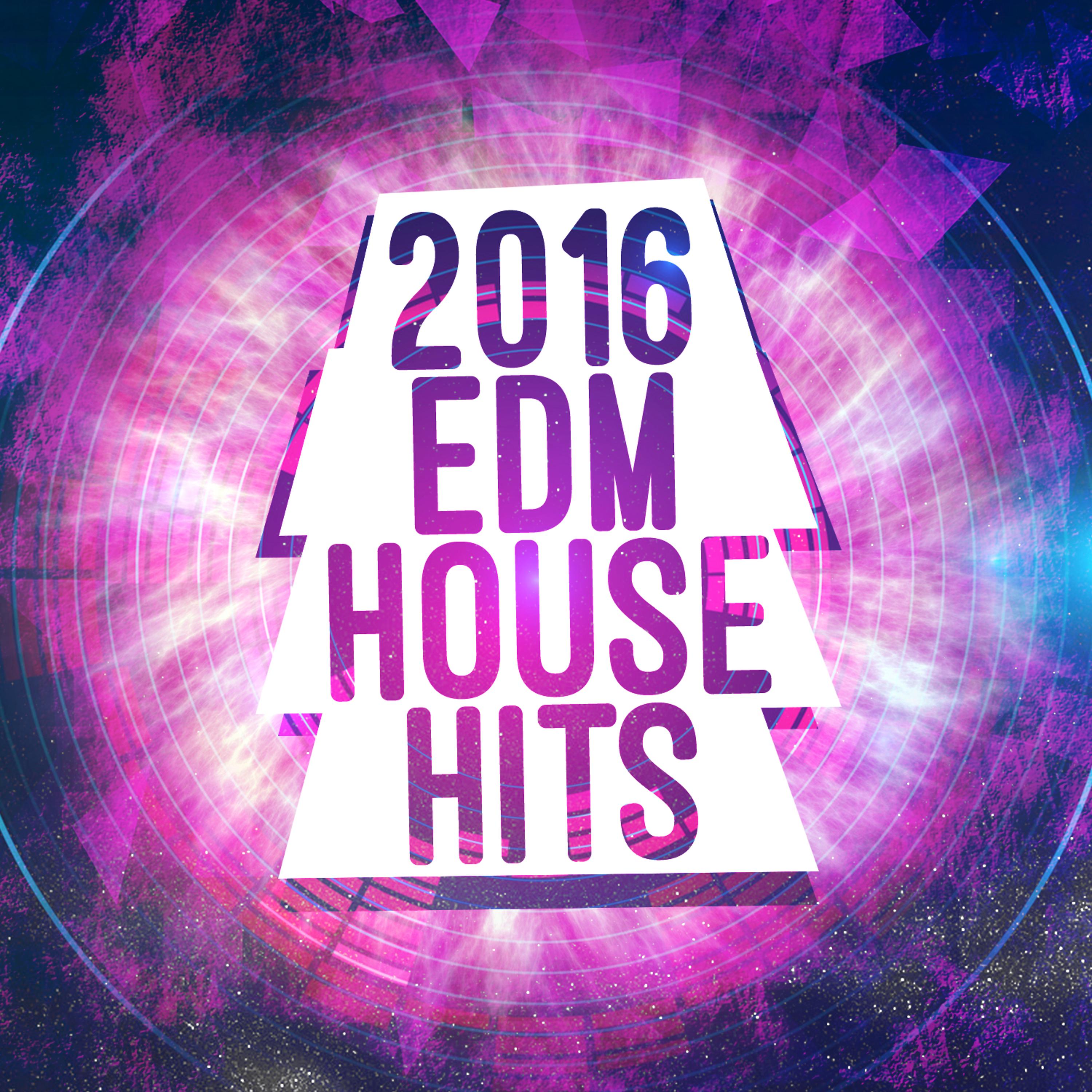 Постер альбома 2016 EDM House Hits