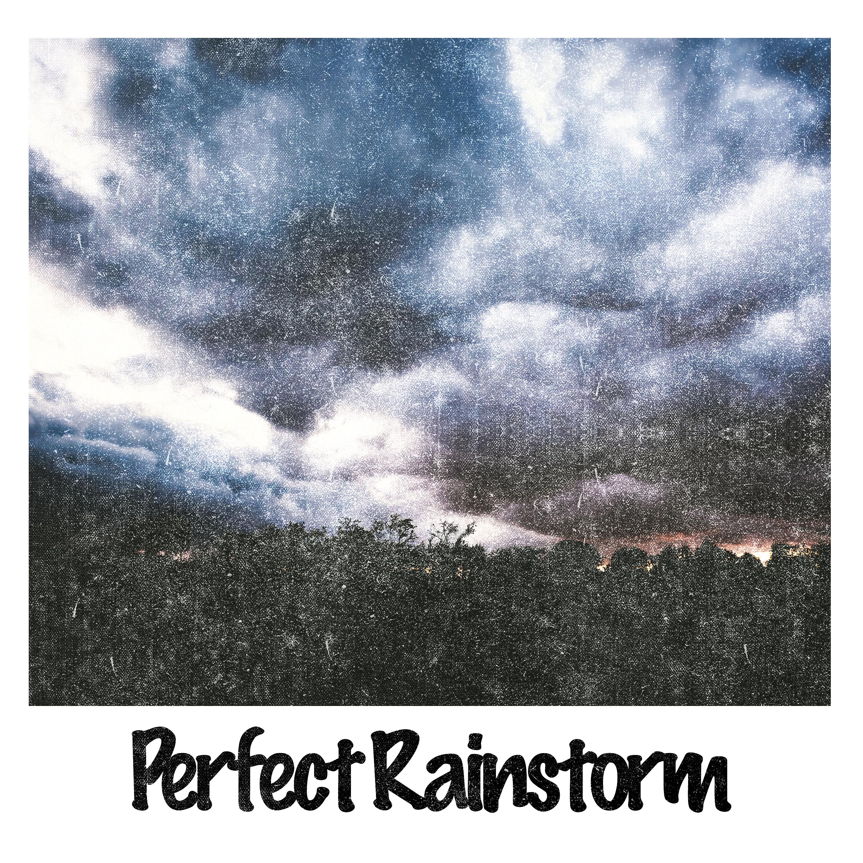 Постер альбома Perfect Rainstorm