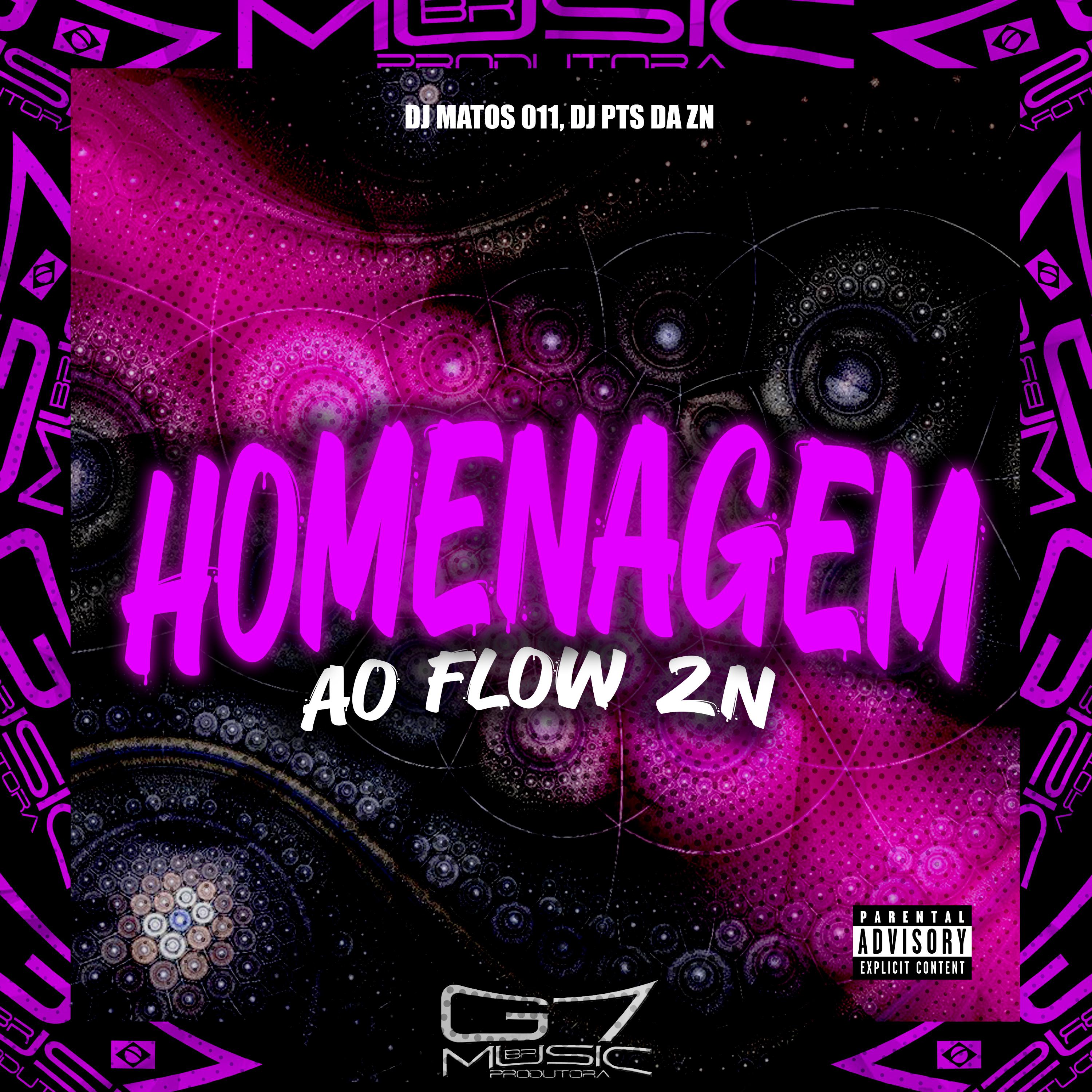 Постер альбома Homenagem ao Flow Zn